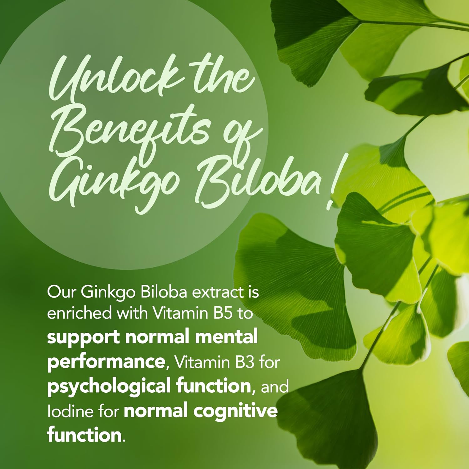 Zipvit Ginkgo Biloba 6000mg & Siberian Ginseng 600mg with Vitamins B3 & B5, 120 Vegan Tablets, Supports Psychological Function, Reduces Tiredness & Fatigue, Improves Mental Performance, 4 Month Supply-3