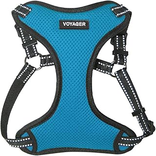 Best Pet Supplies Voyager Adjustable Dog Harness with Reflective Stripes for Walking, Jogging, Heavy-Duty Full Body No Pull Vest with Leash D-Ring, Breathable All-Weather - Harness (Turquoise), S