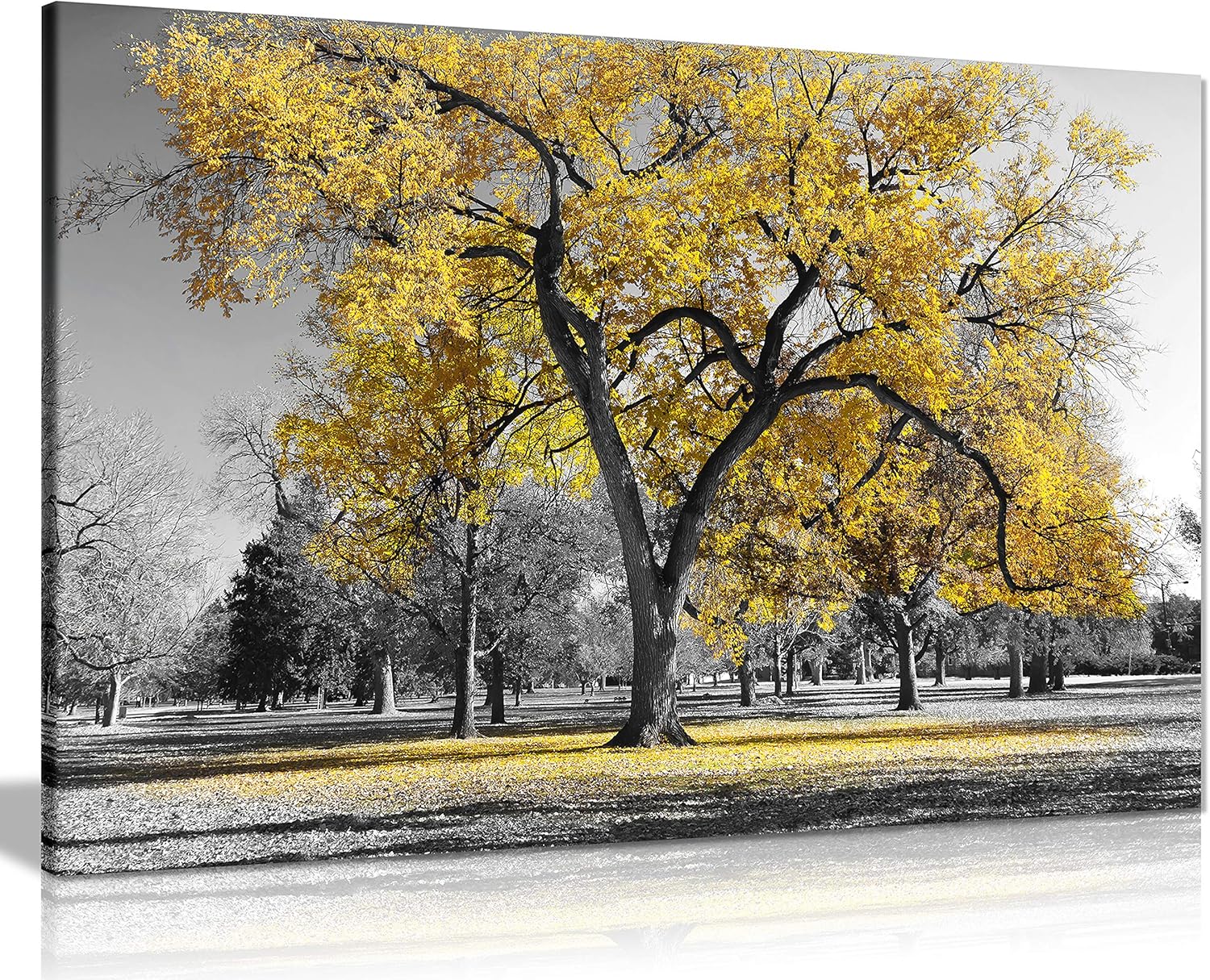 Panther Print, Large Canvas Wall Art, Beautiful Living Room and Bedroom Framed Art, Quality Picture Prints for Walls, Nature Design, Large Tree Yellow Leaves, Print for Special Occasions (30x20 Inch)-0