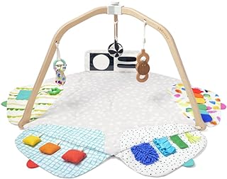 Lovevery The Play Gym: Stage-Based and Sustainable Baby Play Mat & Tummy Time Mat, A Whole Year of Play