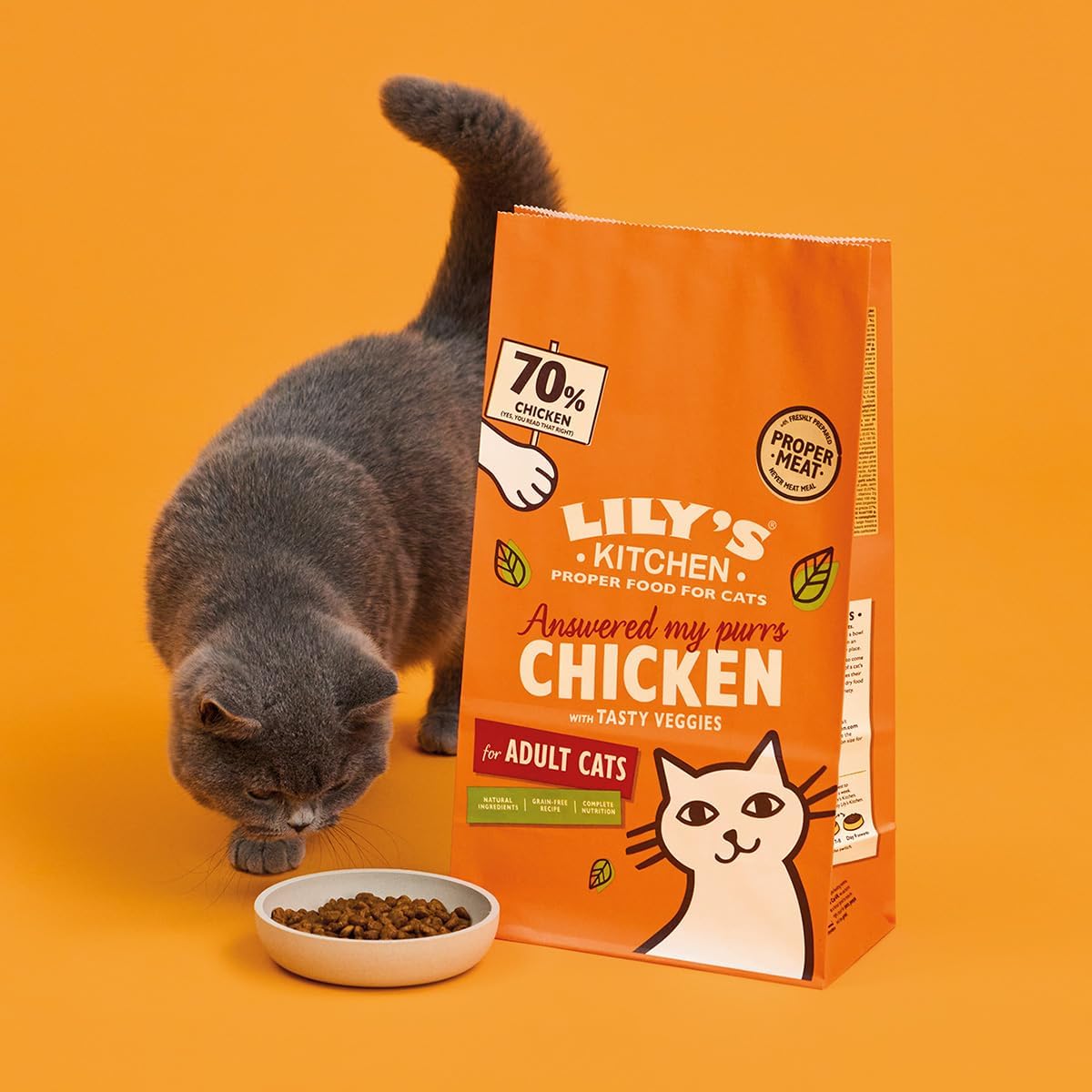 Lily's Kitchen Made with Natural Ingredients Adult Dry Cat Food Bag Chicken with Veggies Grain-Free Recipe 2kg-6