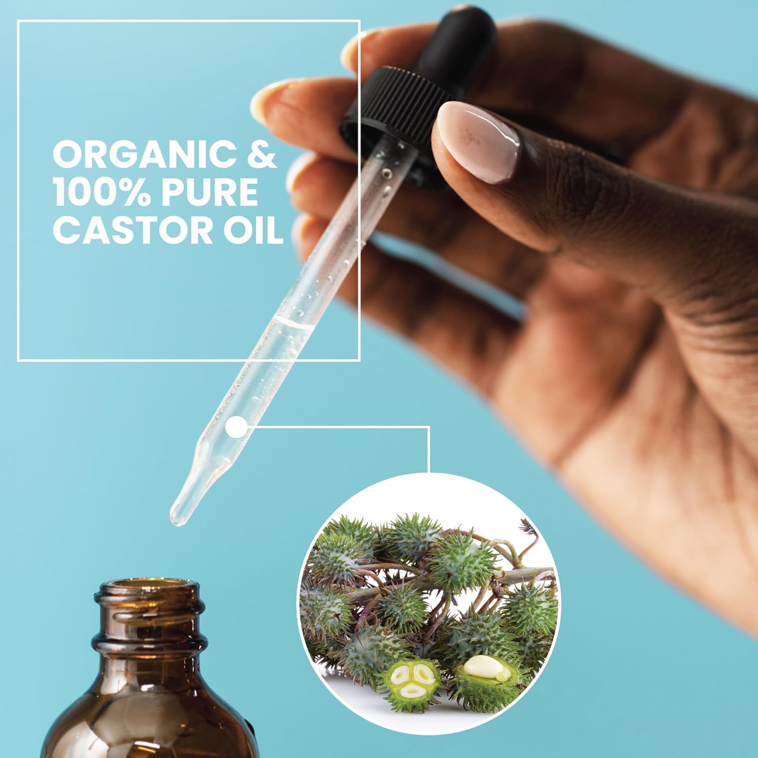 Eva Naturals Organic Castor Oil (60ml) - Promotes Hair, Eyebrow and Eyelash Growth - Diminishes Wrinkles and Signs of Aging - Hydrates and Nourishes Skin - 100% Pure - Cold Pressed-4