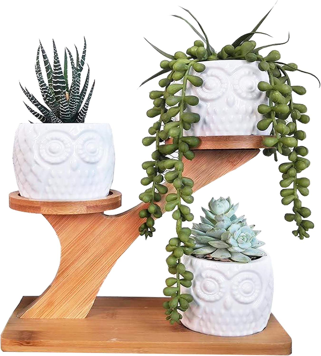 MINGZE 3 Pack Owl Succulent Ceramic Plant Pots for Home Office Desk (With Wooden Stand), Succulent Combination Potted Flower Pot, Succulent Ceramic Pot-0