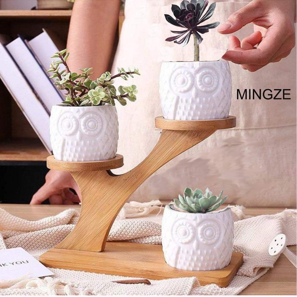 MINGZE 3 Pack Owl Succulent Ceramic Plant Pots for Home Office Desk (With Wooden Stand), Succulent Combination Potted Flower Pot, Succulent Ceramic Pot-1