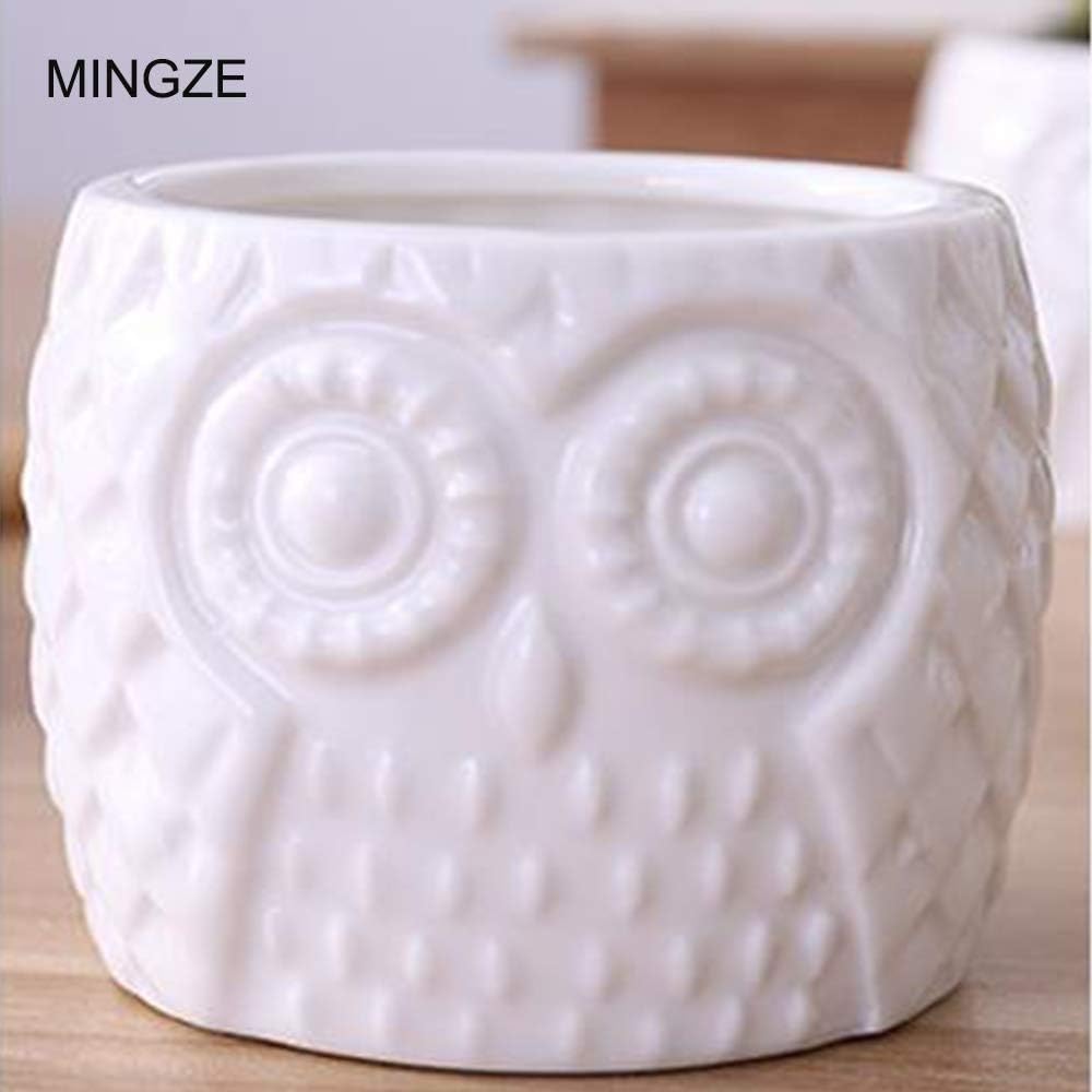 MINGZE 3 Pack Owl Succulent Ceramic Plant Pots for Home Office Desk (With Wooden Stand), Succulent Combination Potted Flower Pot, Succulent Ceramic Pot-3