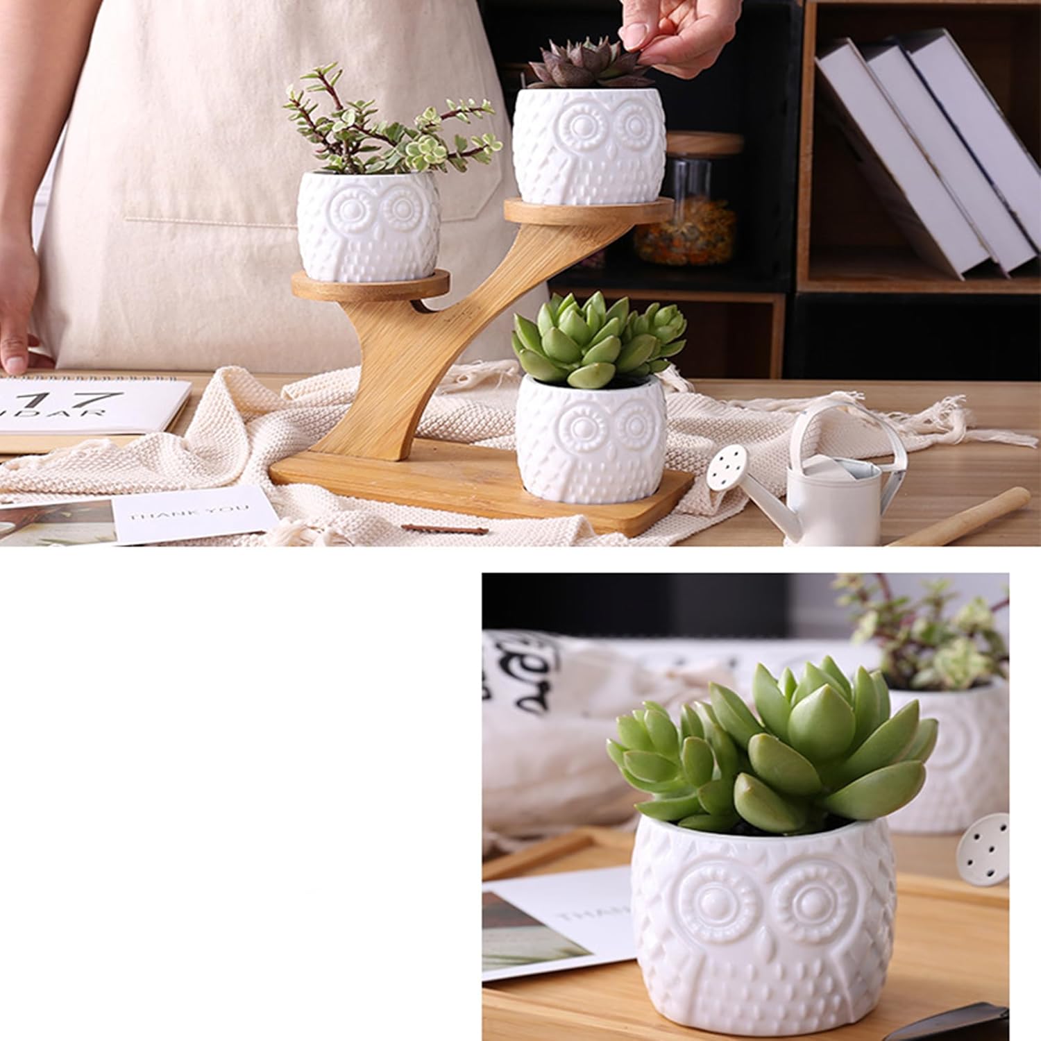 MINGZE 3 Pack Owl Succulent Ceramic Plant Pots for Home Office Desk (With Wooden Stand), Succulent Combination Potted Flower Pot, Succulent Ceramic Pot-5