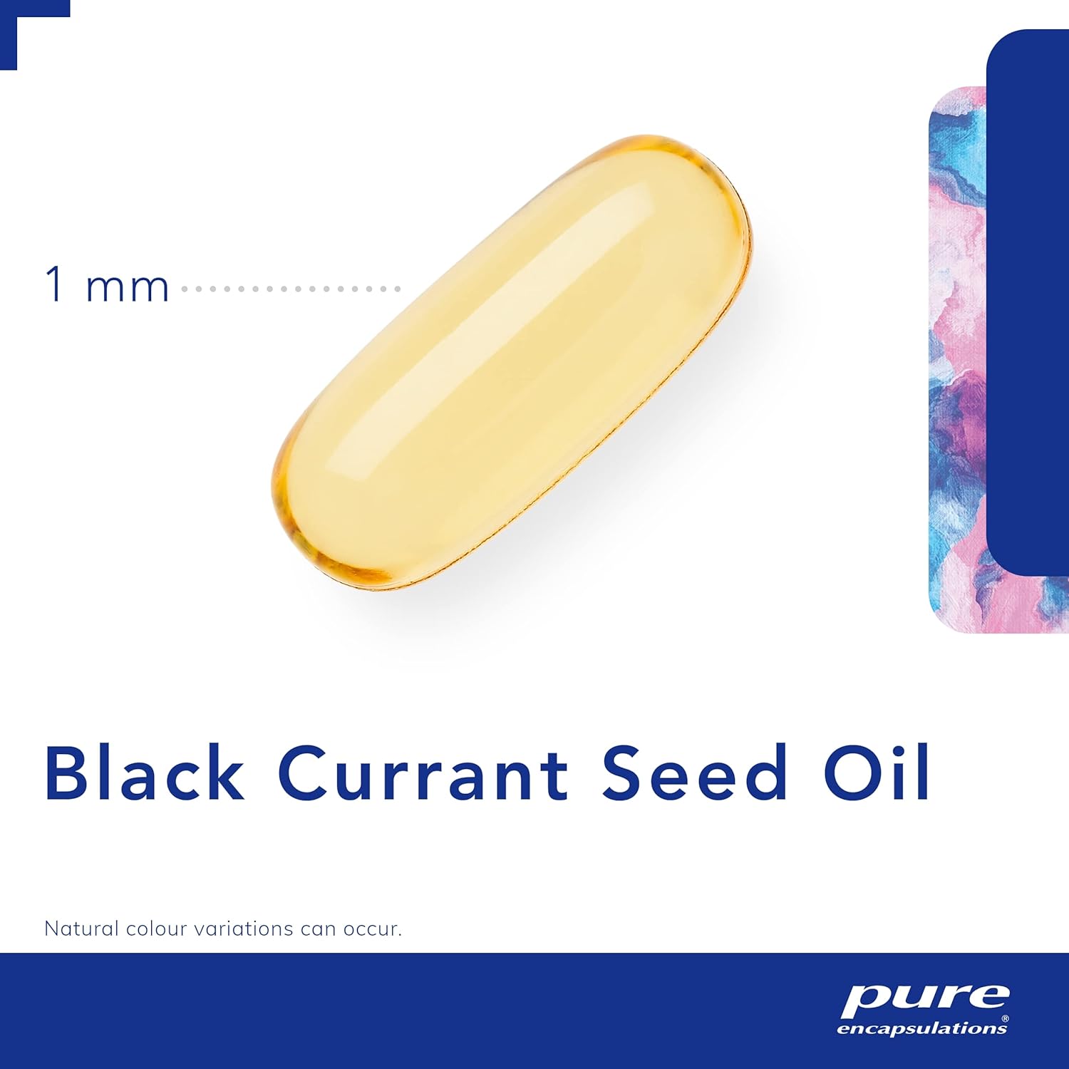 Pure Encapsulations - Black Currant Seed Oil 500mg - Black Currant Seed Oil - 100 Softgel Capsules-2