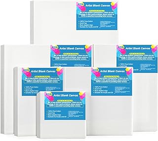 FEPITO 6 Set Blank Stretched Canvas Assorted Size Artist Canvas Multipack Canvases for Acrylic Oil Water Painting