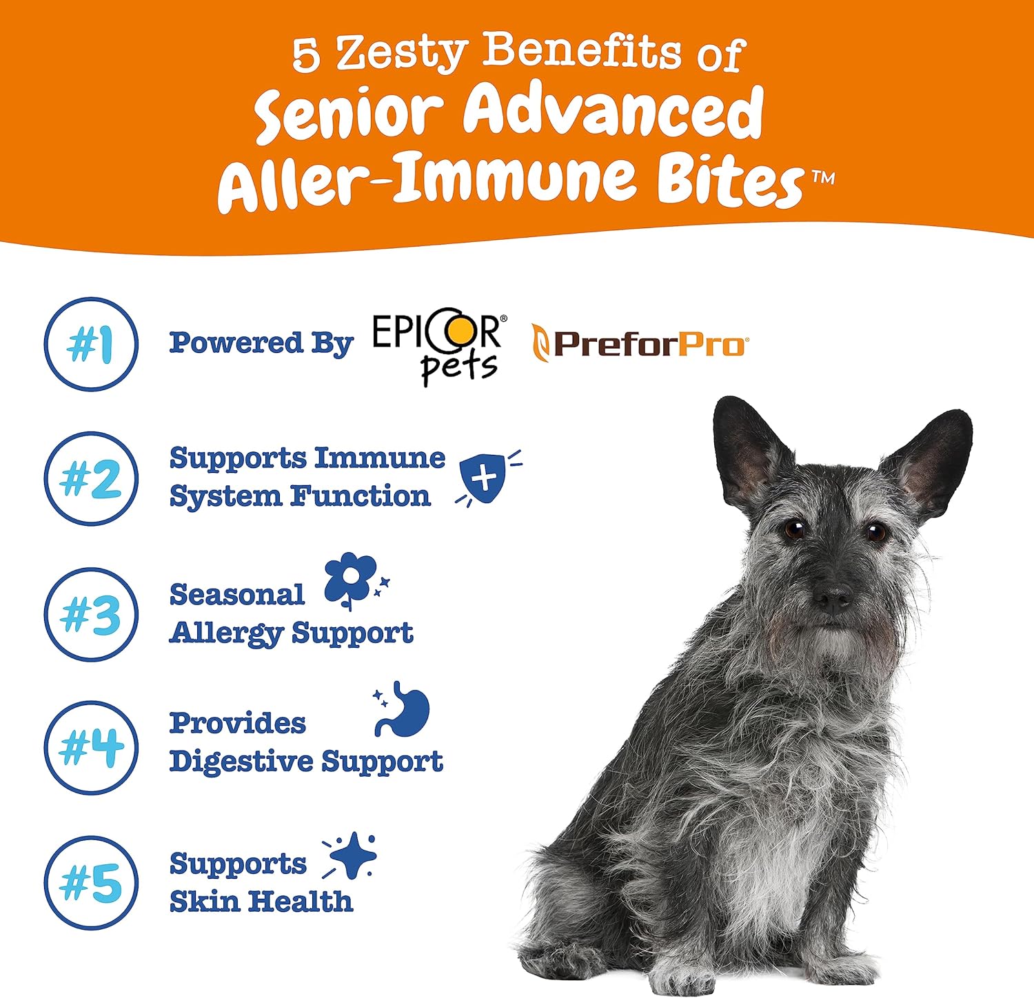 Zesty Paws, Advanced Aller-Immune Bites for Dogs, Immune System, Senior, Salmon Flavour, 90 Soft Chews-1