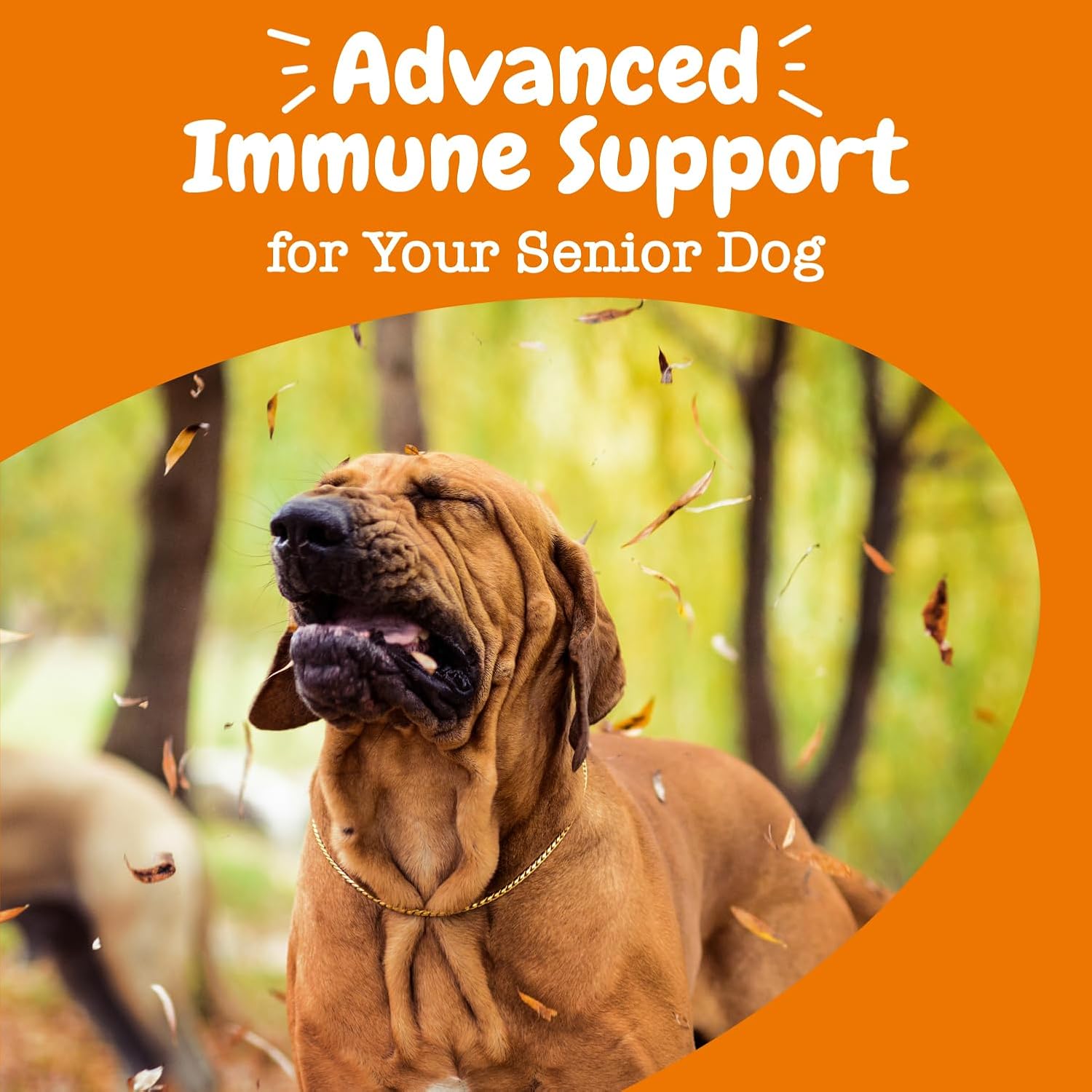 Zesty Paws, Advanced Aller-Immune Bites for Dogs, Immune System, Senior, Salmon Flavour, 90 Soft Chews-8