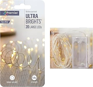 Premier 20 Battery Operated Large LED ULTRABRIGHTS with Timer - Warm White (LB191279WW)