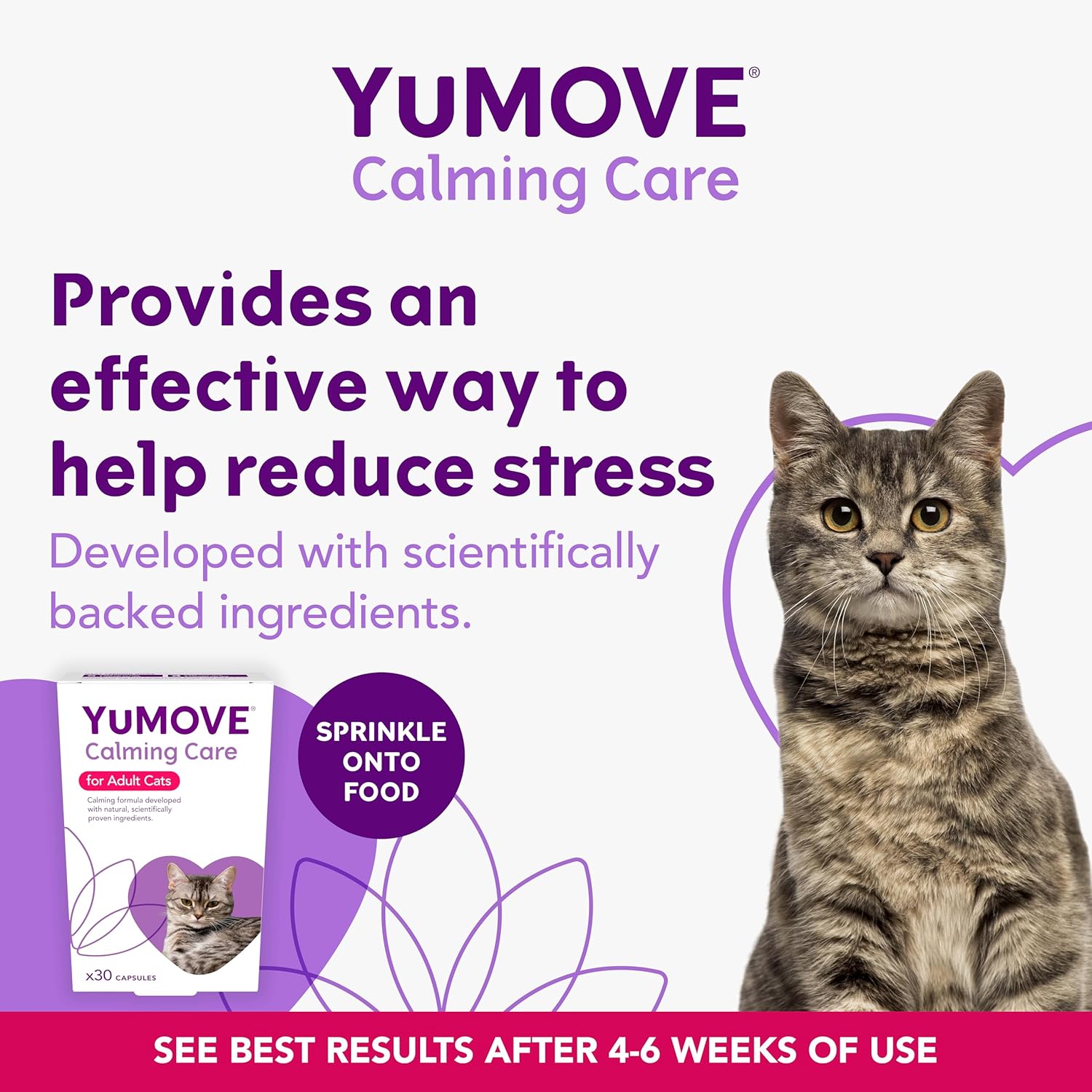 YuMOVE Calming Care for Cats | Previously YuCALM Cat | Calming Supplemnent for Cats who are Stressed or Nervous | Packaging may vary-1