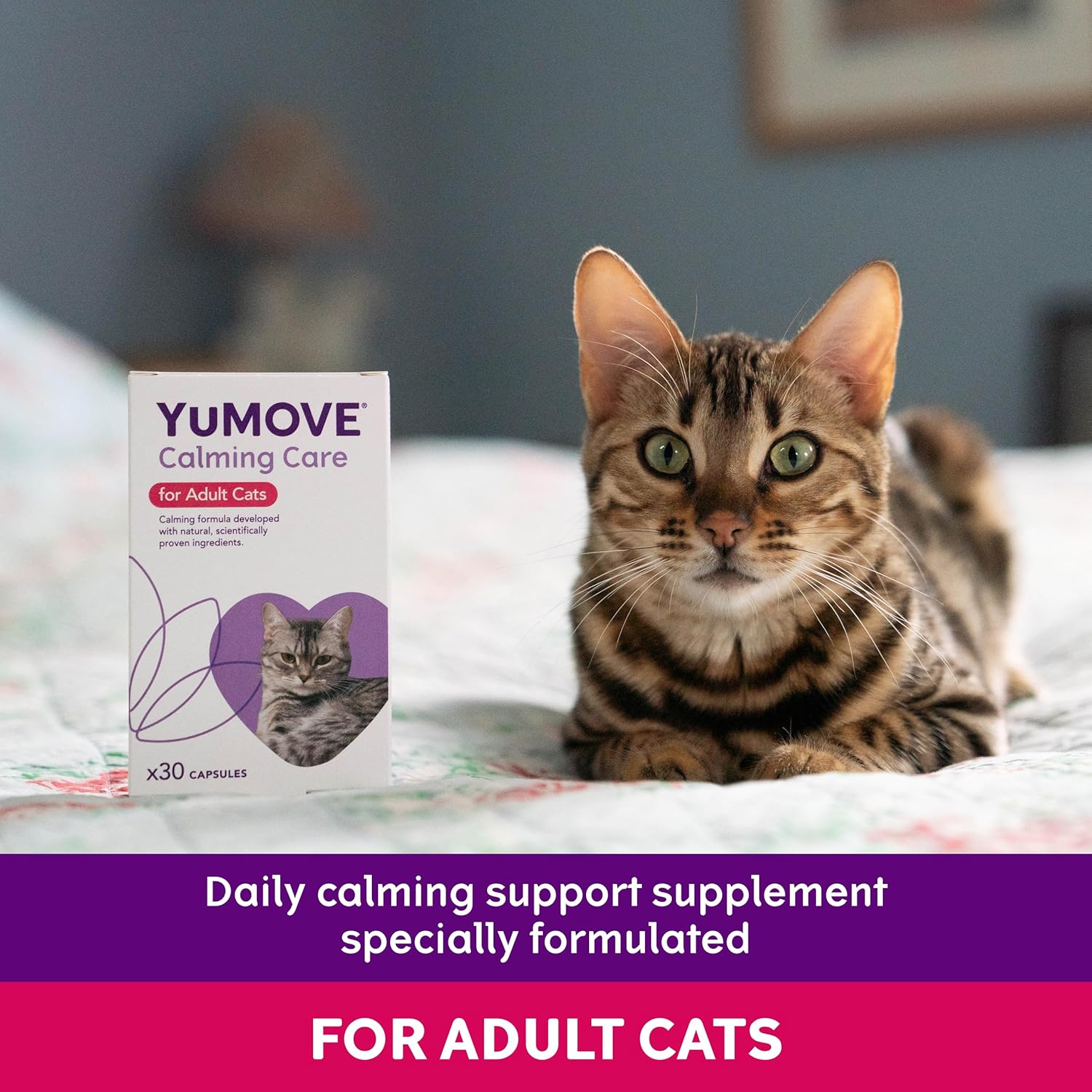 YuMOVE Calming Care for Cats | Previously YuCALM Cat | Calming Supplemnent for Cats who are Stressed or Nervous | Packaging may vary-2