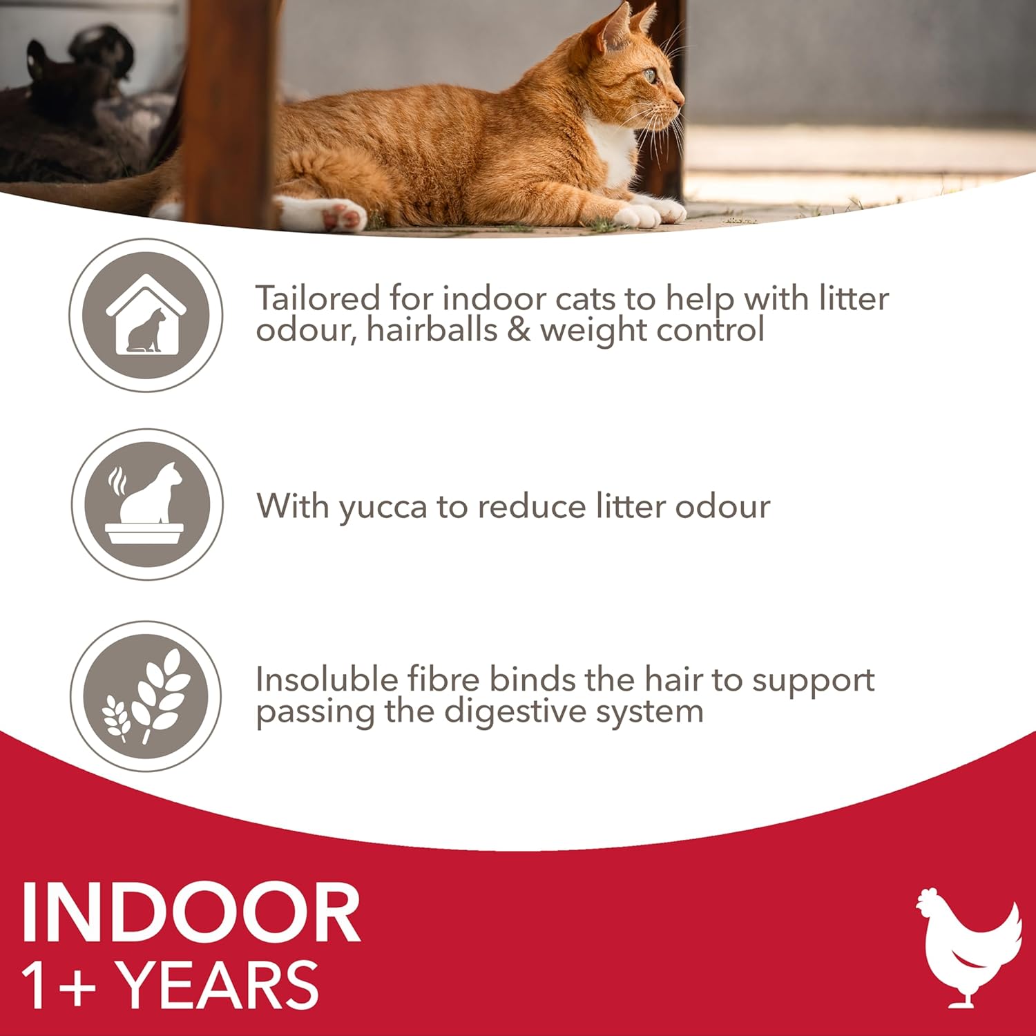 IAMS Indoor Complete Dry Cat Food for Adult and Senior Cats with Chicken 3 kg-3