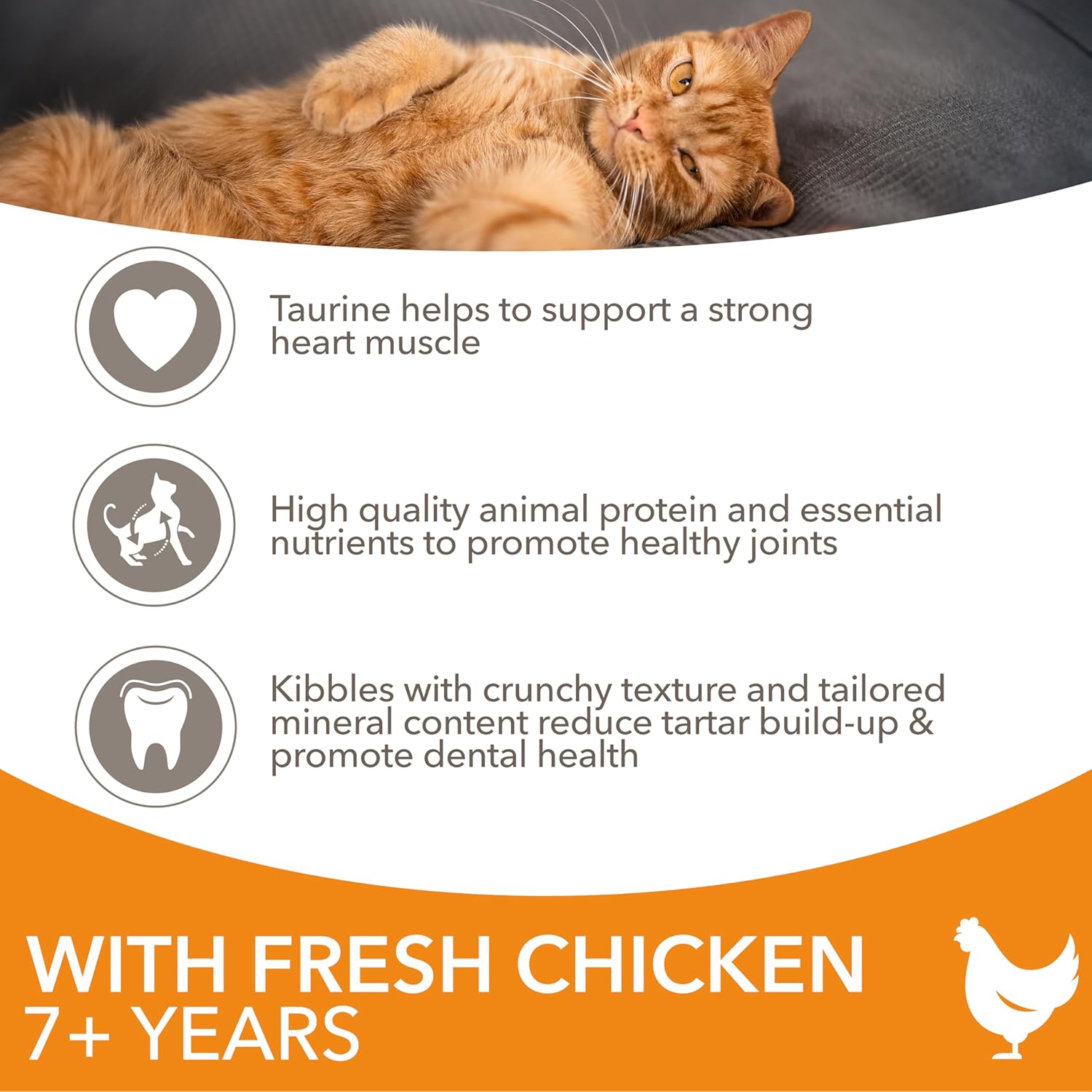 IAMS Complete Dry Cat Food for Senior 7+ Cats with Chicken 3 kg-3