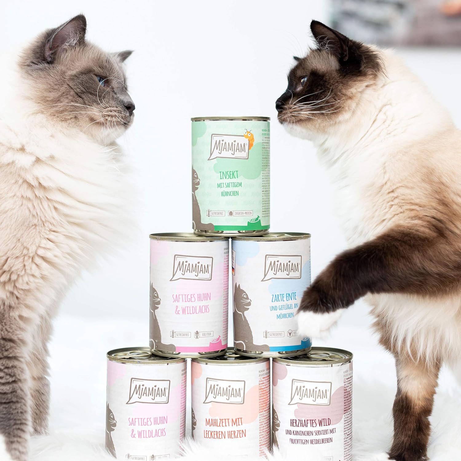 MjAMjAM - premium wet food for cats - juicy chicken and wild salmon, pack of 6 (6 x 400 g), grain-free with extra meat-3