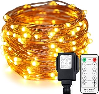 Erchen Plug in Fairy Lights, 33 FT 10M 100 LED Dimmable Copper Wire LED Starry String Lights with 4.5V DC Power Adapter Remote Control for Wedding Christmas Party Bedroom (Warm White)