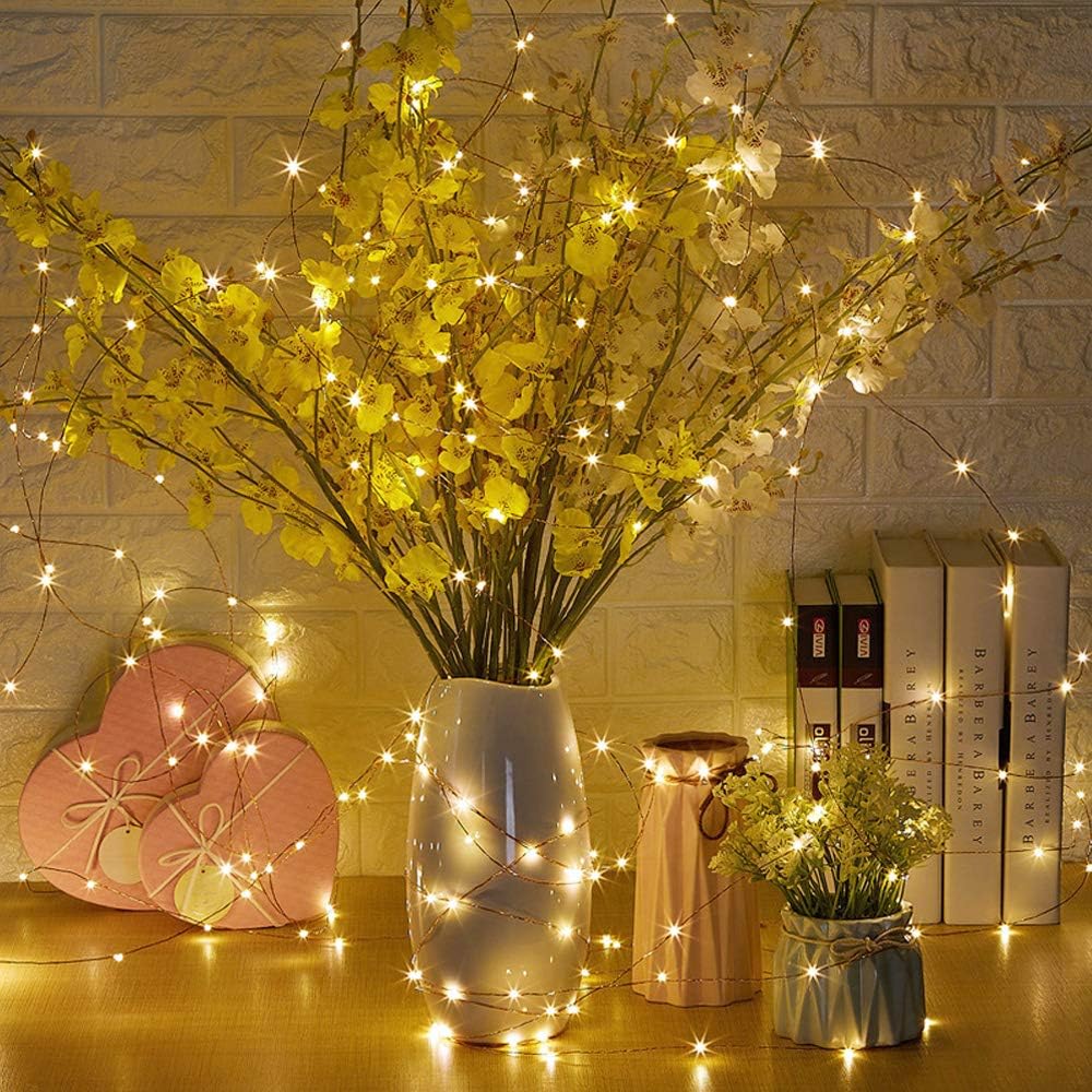 Erchen Plug in Fairy Lights, 33 FT 10M 100 LED Dimmable Copper Wire LED Starry String Lights with 4.5V DC Power Adapter Remote Control for Wedding Christmas Party Bedroom (Warm White)-1