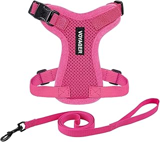 Best Pet Supplies Voyager Step-in Lock Pet Harness - All Weather Mesh, Adjustable Step in Harness for Cats and Dogs Fuchsia, XXXS