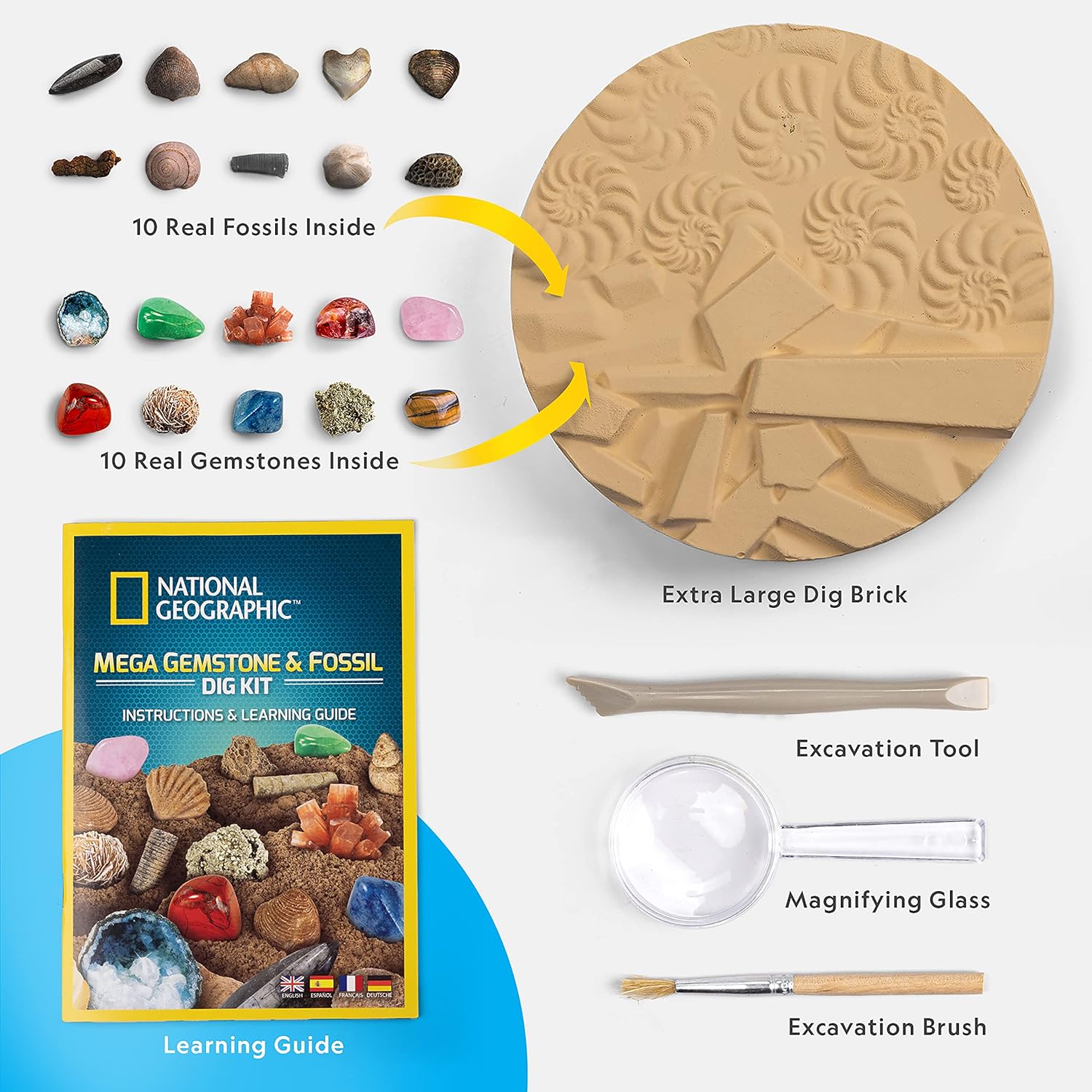 NATIONAL GEOGRAPHIC Mega Fossil and Gemstone Dig Kit - Excavate 20 Real Fossils and Gems, Science Kit for Kids, Rock Digging Excavation Kit, Geology Gifts for Boys and Girls (Amazon Exclusive)-5