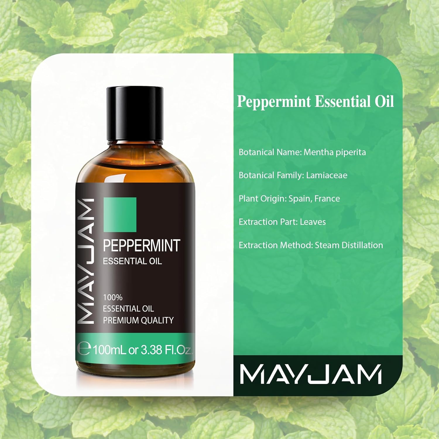 MAYJAM Peppermint Essential Oils 100ML, Peppermint Oil for Diffuser, Humidifier, DIY, Home, Office-1