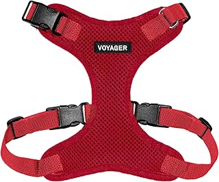 Best Pet Supplies Voyager Step-in Lock Pet Harness – All Weather Mesh, Adjustable Step in Harness for Cats and Dogs Red (Matching Trim), XS (Chest: 11-16" Fit Cats)