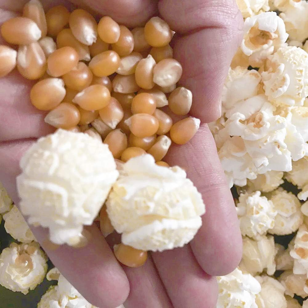 TIRAS Mushroom Popping Corn Kernels USA Popcorn Seeds - Stove-top & Air Popper Friendly - 5kg-5