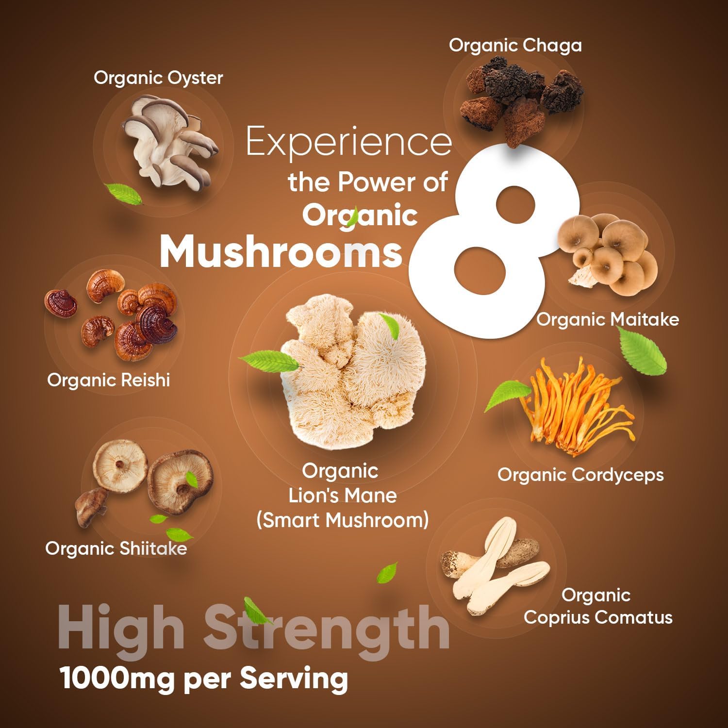 Organic Mushroom Complex 8-180 Capsules - 1000mg - Lion's Mane & 7 Mushroom Blends (Reishi, Chaga, Cordyceps, Shiitake, Oyster, Maitake & Coprinus) - Added Turmeric & Ginger - Vegan & Non-GMO-1