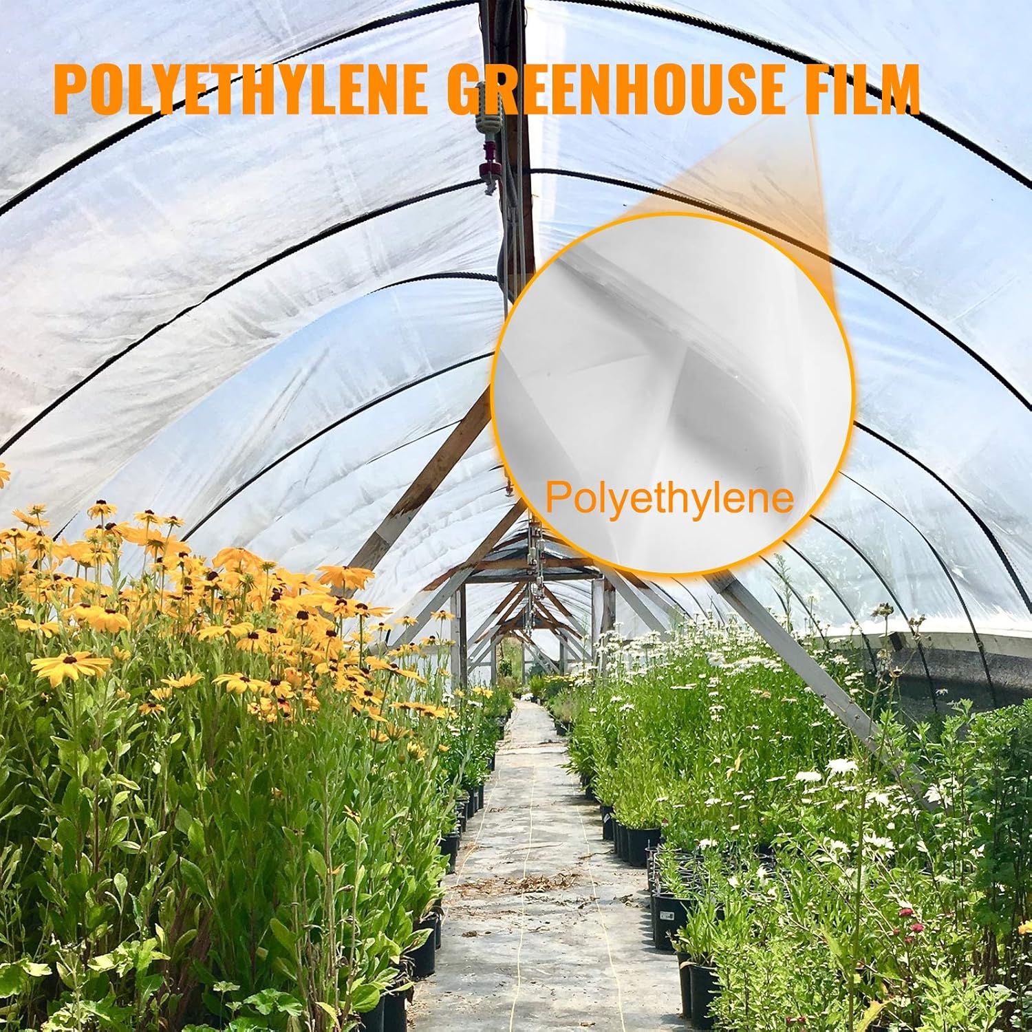 Happybuy Greenhouse Film 15 x 40 ft, Polyethylene Film 6 Mil Thickness, Greenhouse Plastic Greenhouse Clear Plastic Film UV Resistant, Polyethylene Film Keep Warming, Superior Strength, Transparent-1