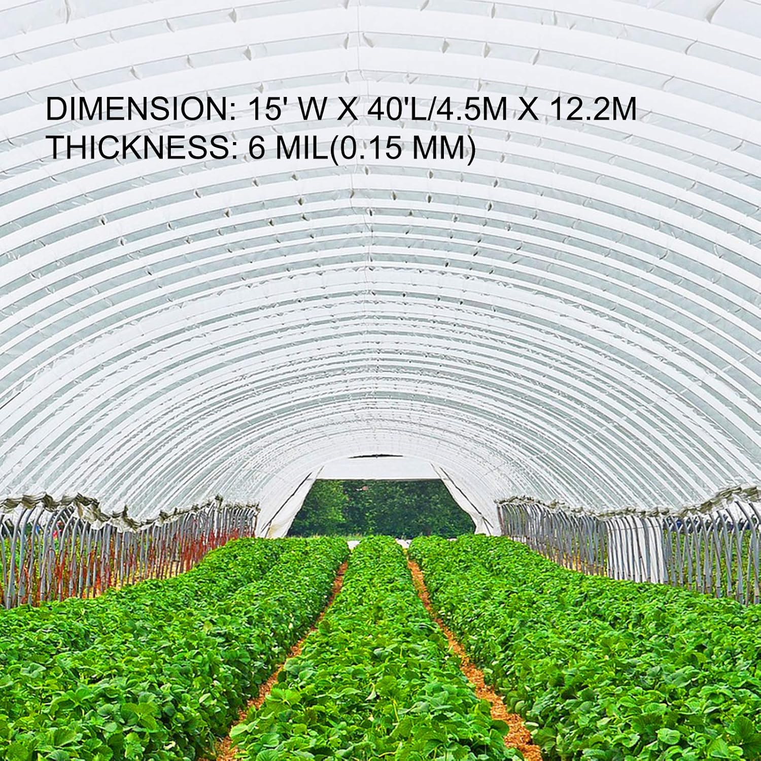 Happybuy Greenhouse Film 15 x 40 ft, Polyethylene Film 6 Mil Thickness, Greenhouse Plastic Greenhouse Clear Plastic Film UV Resistant, Polyethylene Film Keep Warming, Superior Strength, Transparent-2