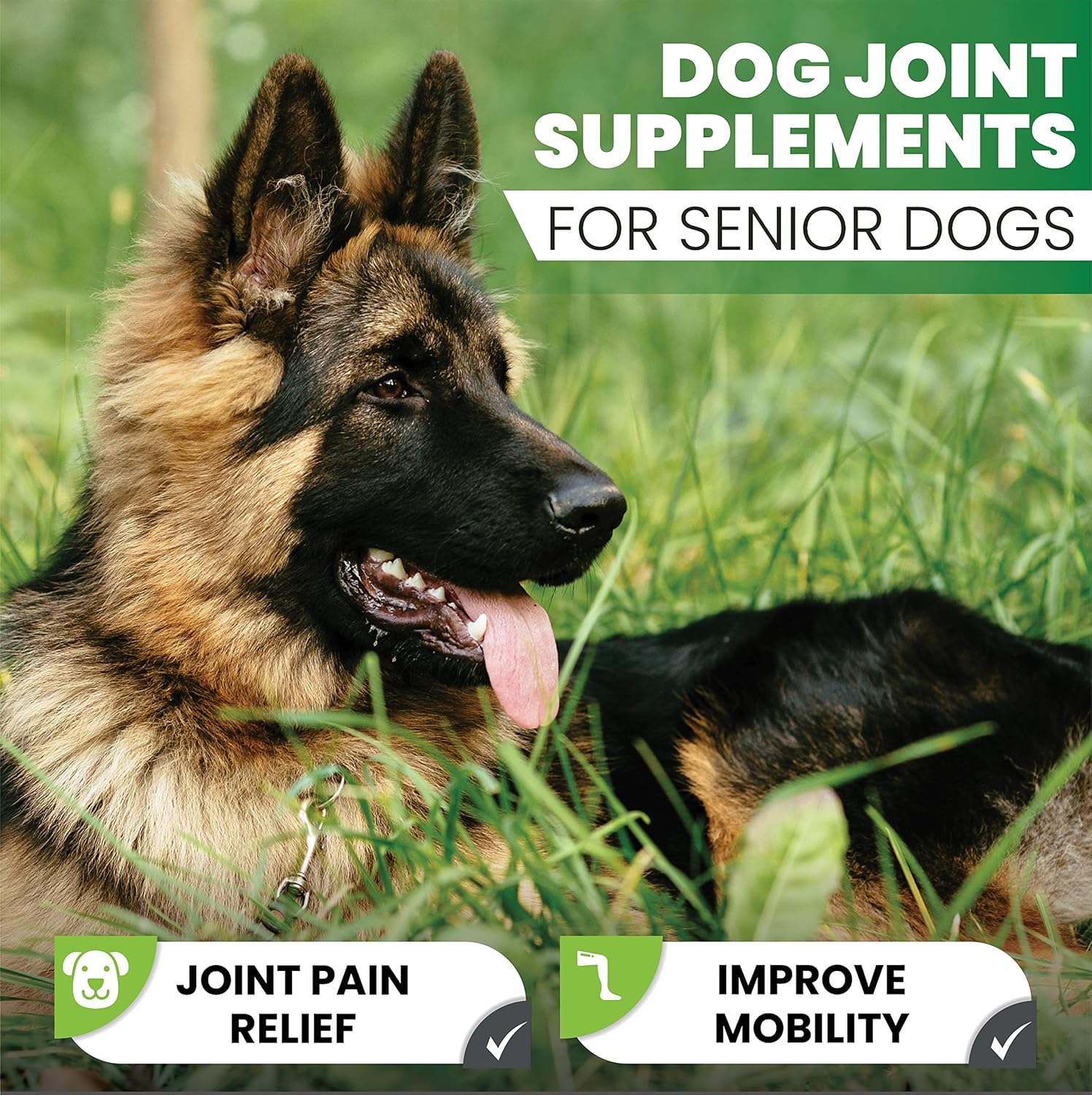 Joint Powder for Dogs - Pain Relief Anti Inflammatory Complex - Dog Joint Care Supplements - Glucosamine For Dogs - Young, and Senior - Hip and Joint Care - Dog Arthritis Support -150g Chicken Flavour-2