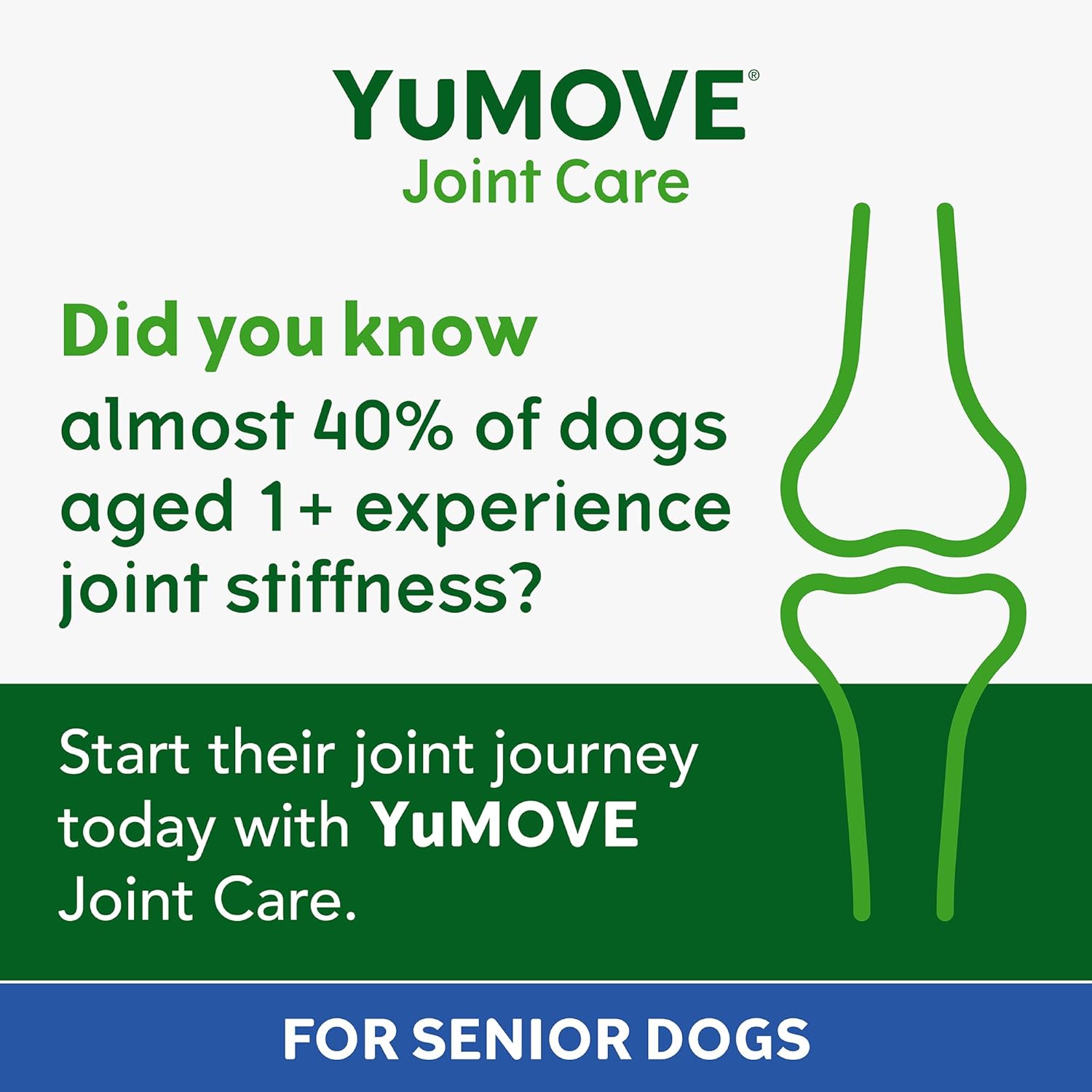 YuMOVE Daily Bites For Senior Dogs | High Strength Hip and Joint Supplement Designed for Older, Stiff Dogs, with Glucosamine, Chondroitin, Green Lipped Mussel | Aged 9+ | 150 Chews-1