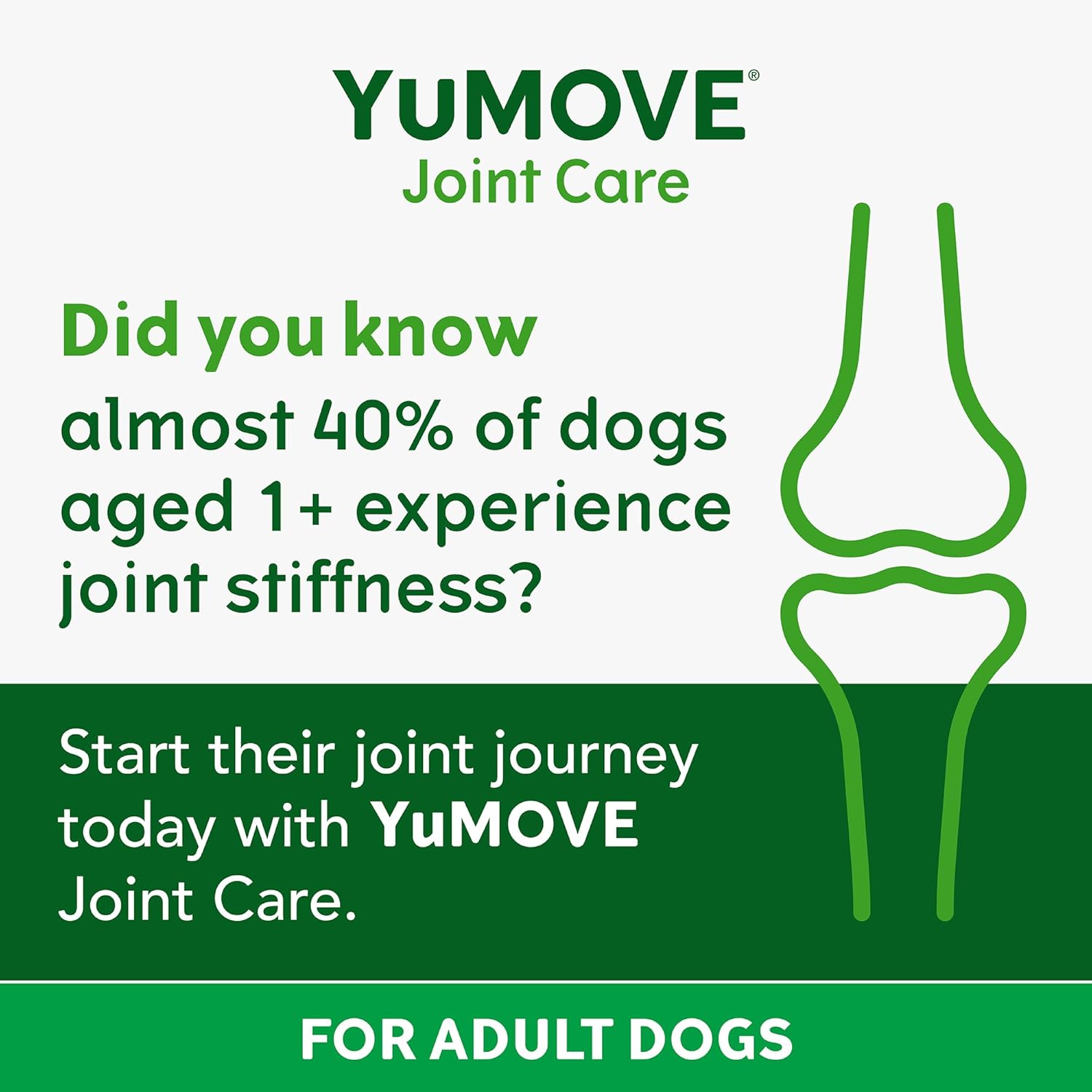 YuMOVE Daily Bites For Adult Dogs | Hip and Joint Supplement for Stiff Dogs Aged 6 To 8 Years | 150 Chews-1