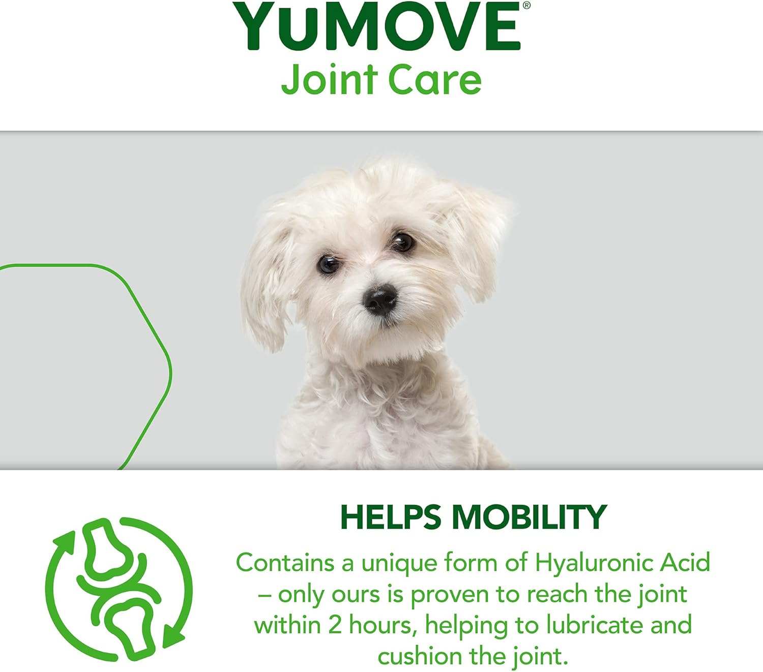 YuMOVE Daily Bites For Young Dogs | Hip and Joint Supplement for Dogs to Support Active and Growing Joints for Dogs Aged Under 6 Years | 150 Chews-4