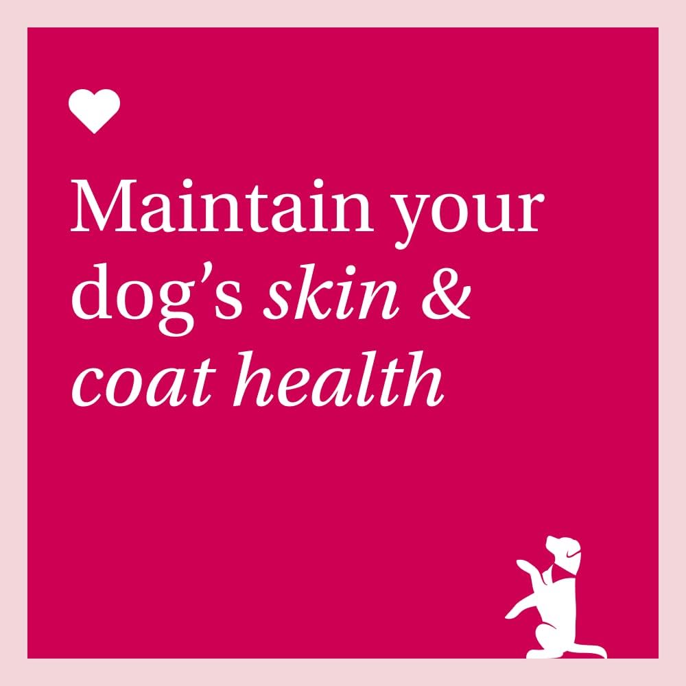 PetLab Co. Skin & Coat Chews - Support A Healthy, Comfortable Coat In Seconds A Day. Formulated With Beneficial Fatty Acids, Vitamins, Honey, & Turmeric To Optimize Skin and Coat Condition-5