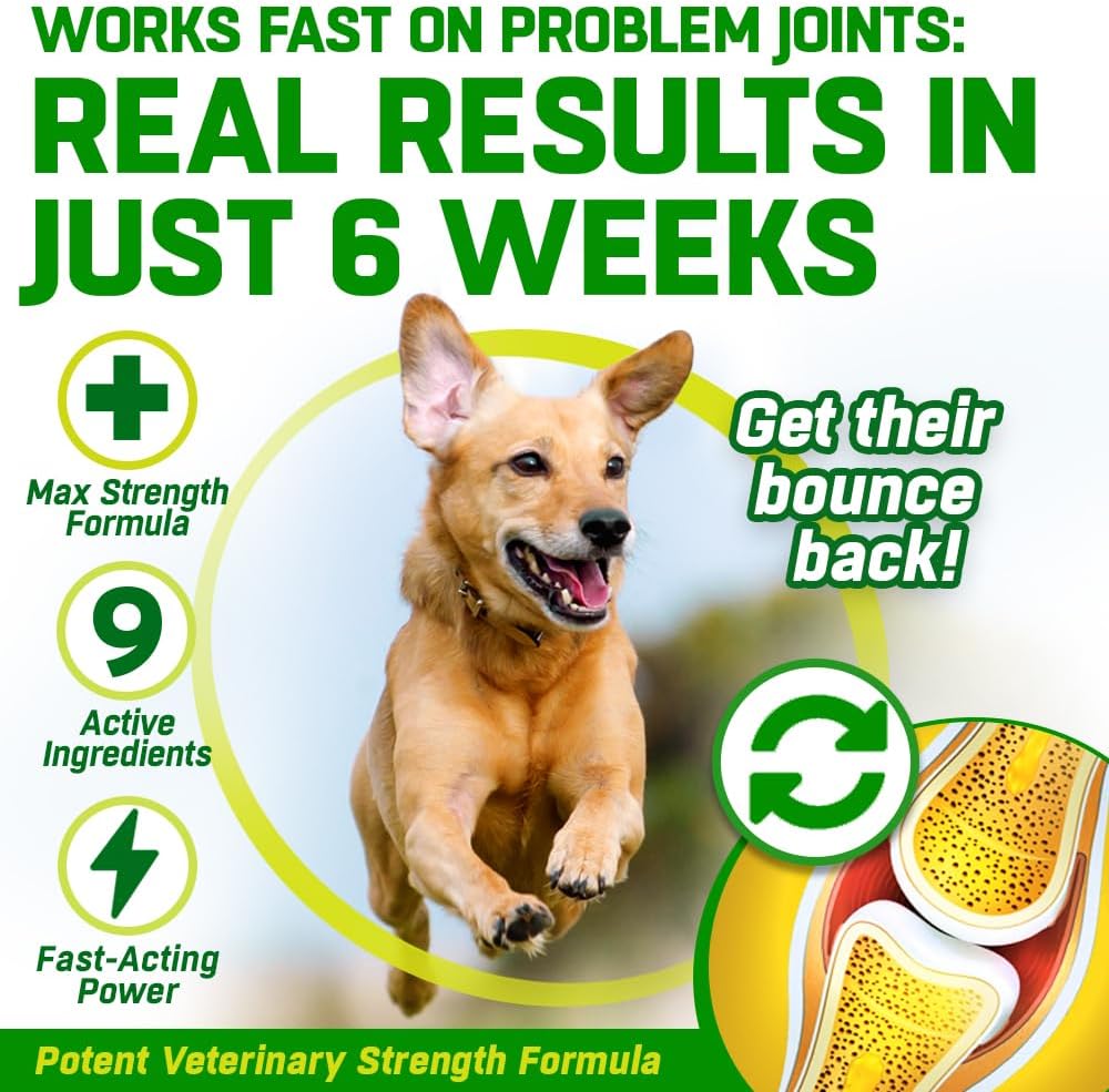 CANIVET Dog Joint Care Supplements | 300 Tablets | With Green Lipped Mussel, Glucosamine & Chondroitin, Turmeric, MSM, Hyaluronic Acid, Manganese and Vitamins for dog joint care. Aids stiff joints.-3