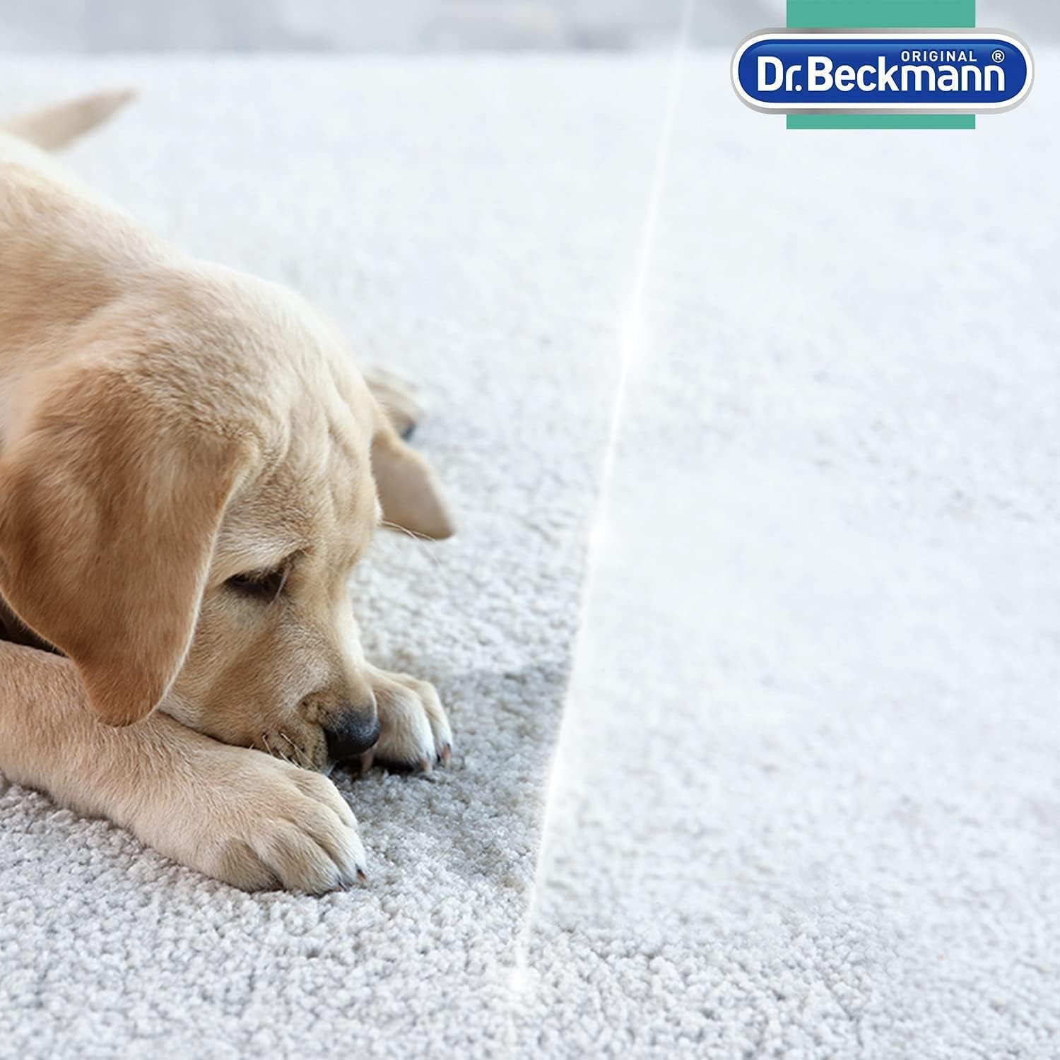 Dr. Beckmann Pet Stain & Odour Remover, Eliminates stains and odours caused by pets, incl. applicator brush, 650 ml-5