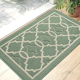 DEXI Door Mat 50 x 80 cm, Doormat Indoor Dirt Trapper Non-slip, Machine Washable Entrance Rug Floor Mat, Super Absorbent Inside Front Door Mat Carpet, Green