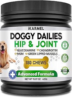 iKarmel Joint Supplements for Dogs | Hip and Joint Care | with Glucosamine, Chondroitin, and Green-Lipped Mussels | Puppy to Senior Dog Treats for Stiff Joints (180 Chews)