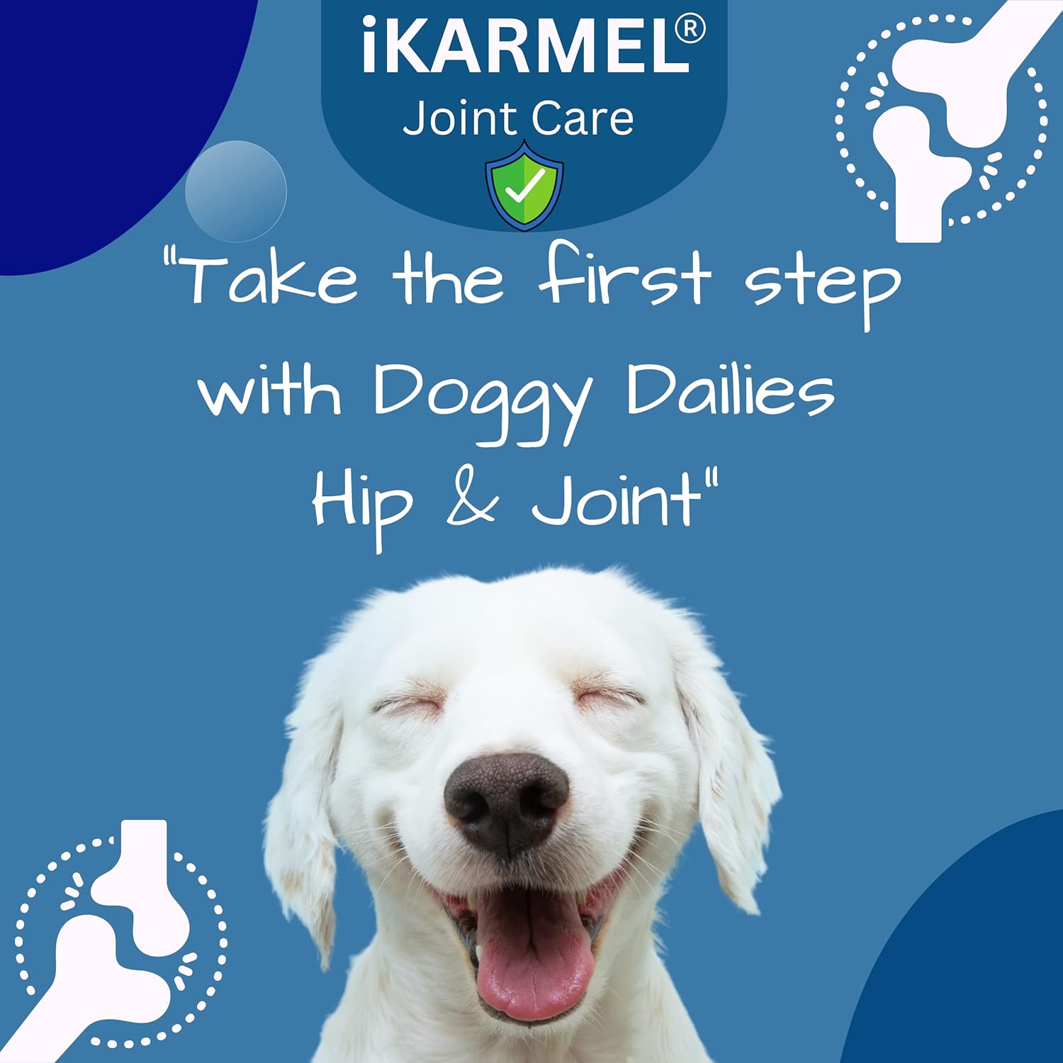 iKarmel Joint Supplements for Dogs | Hip and Joint Care | with Glucosamine, Chondroitin, and Green-Lipped Mussels | Puppy to Senior Dog Treats for Stiff Joints (180 Chews)-2