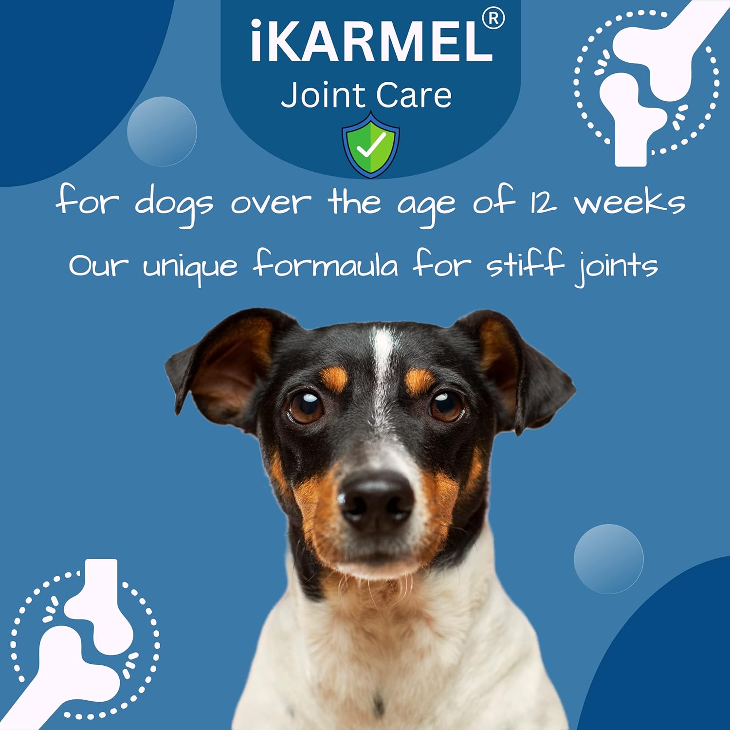 iKarmel Joint Supplements for Dogs | Hip and Joint Care | with Glucosamine, Chondroitin, and Green-Lipped Mussels | Puppy to Senior Dog Treats for Stiff Joints (180 Chews)-3