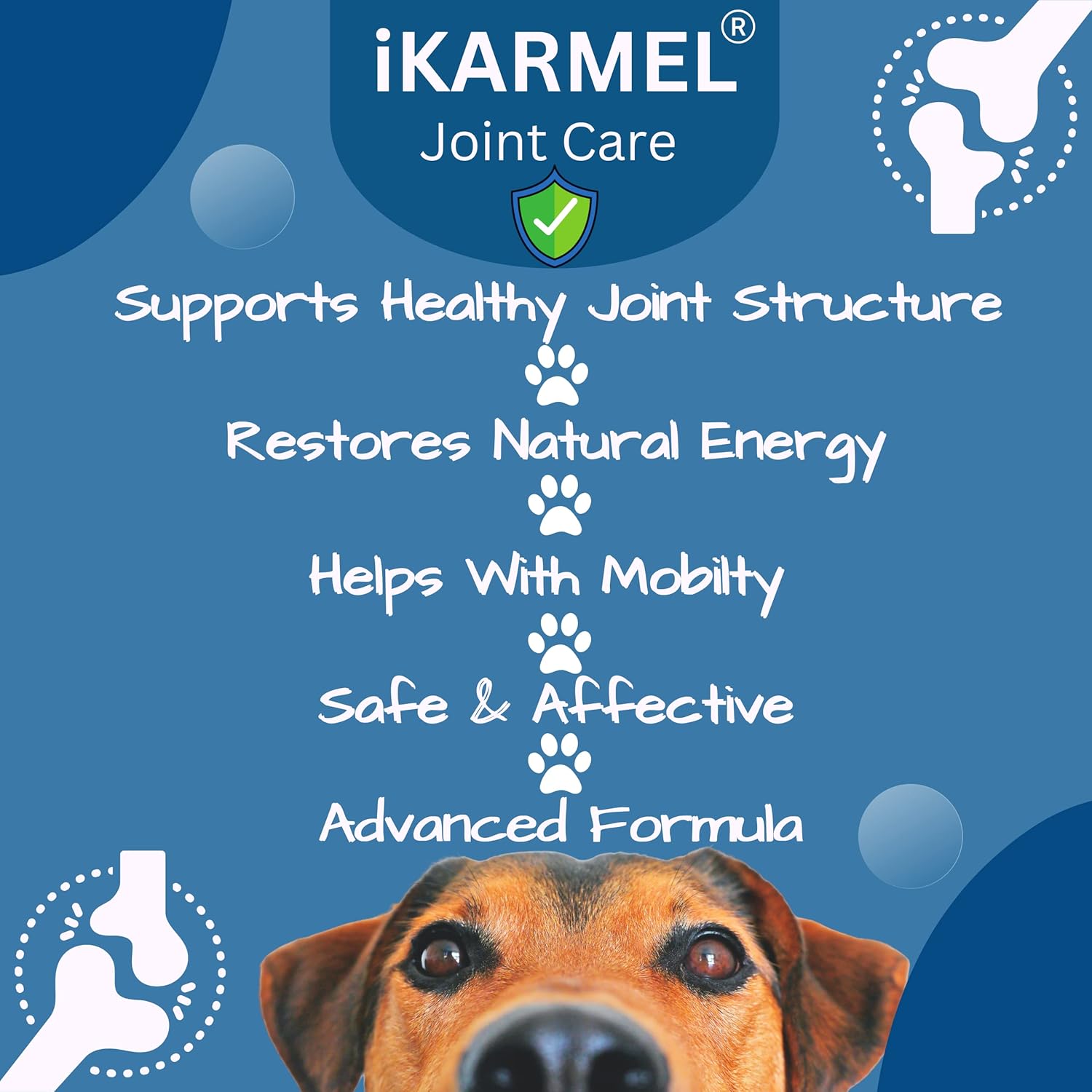 iKarmel Joint Supplements for Dogs | Hip and Joint Care | with Glucosamine, Chondroitin, and Green-Lipped Mussels | Puppy to Senior Dog Treats for Stiff Joints (180 Chews)-4