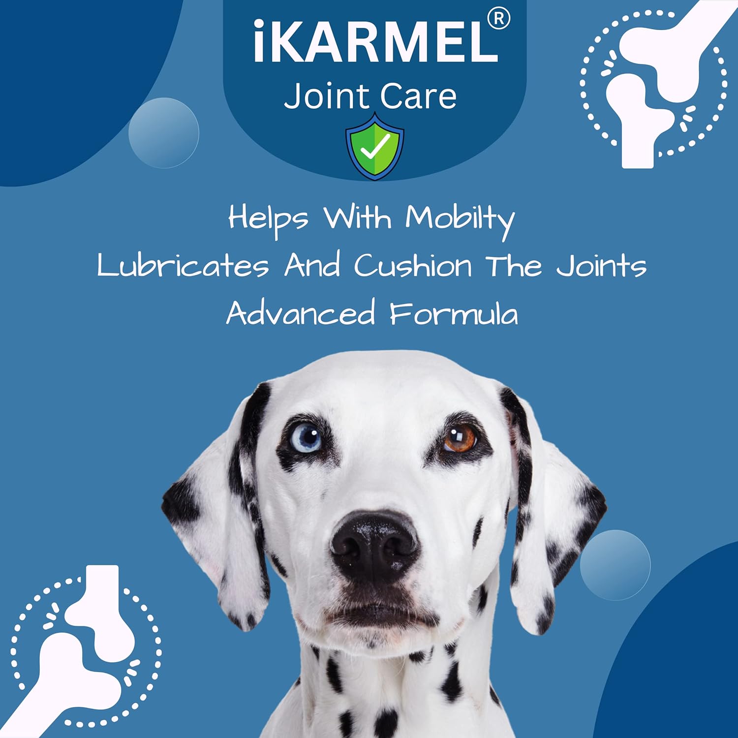 iKarmel Joint Supplements for Dogs | Hip and Joint Care | with Glucosamine, Chondroitin, and Green-Lipped Mussels | Puppy to Senior Dog Treats for Stiff Joints (180 Chews)-6