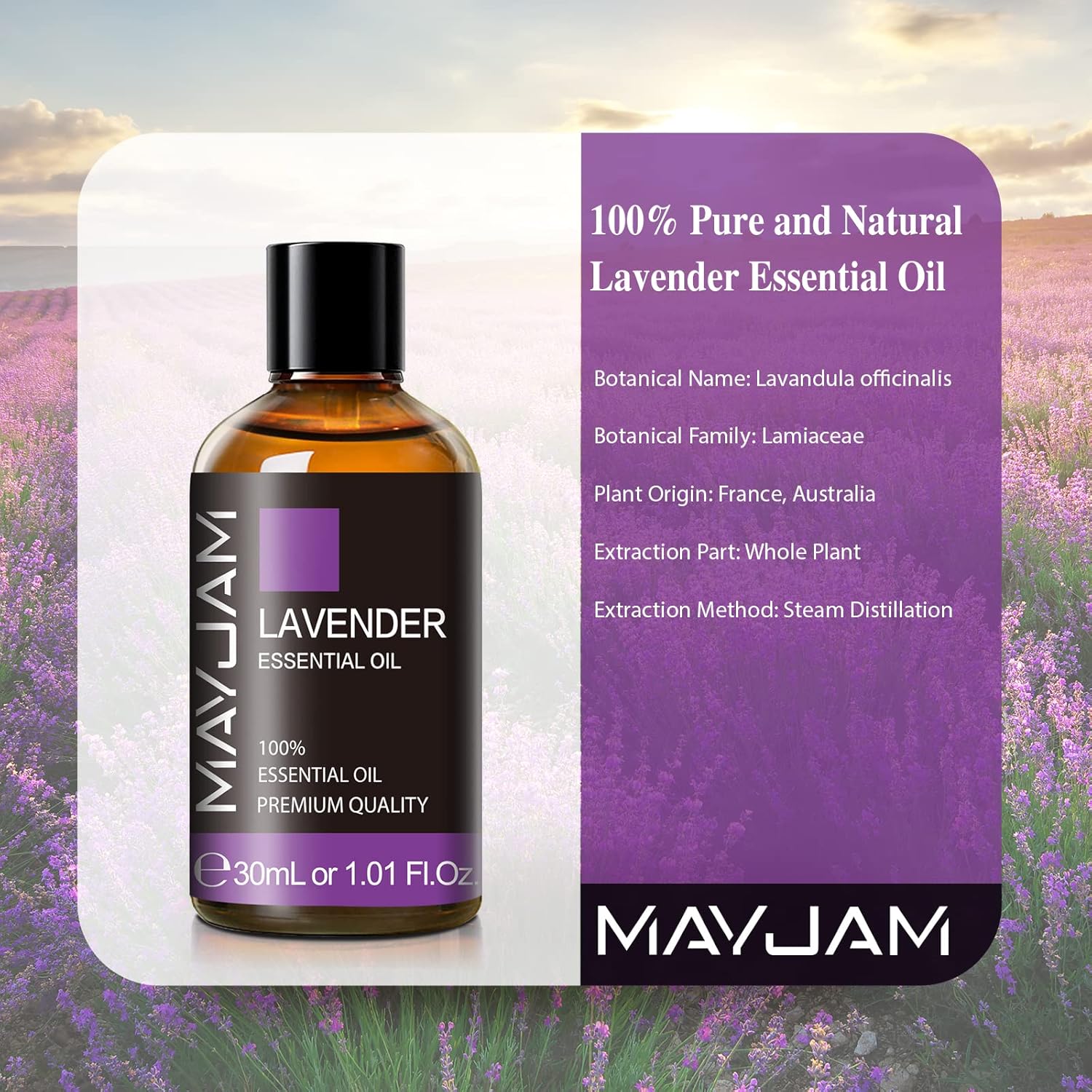 MAYJAM Lavender Essential Oils 30ML, Lavender Oils for Diffuser, Humidifier, DIY, Home, Wardrobes-1