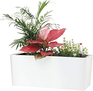 SAROSORA 14" Rectangle Self Watering Planter with Water Level Indicators for Plants & Flower Home Garden Outdoor Indoor Succulent | Herb pots | Window Box (1, White)