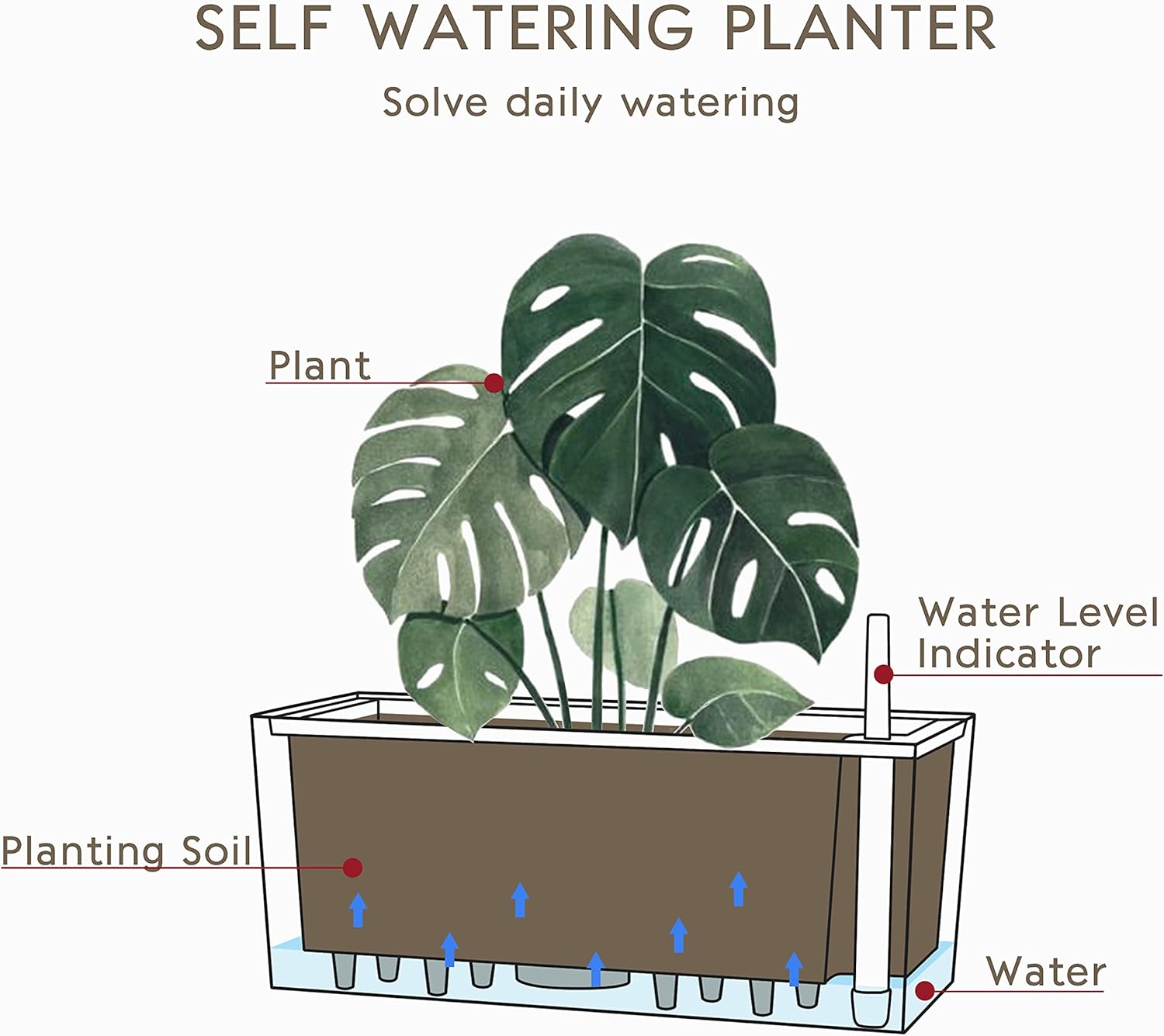 SAROSORA 14" Rectangle Self Watering Planter with Water Level Indicators for Plants & Flower Home Garden Outdoor Indoor Succulent | Herb pots | Window Box (1, White)-8