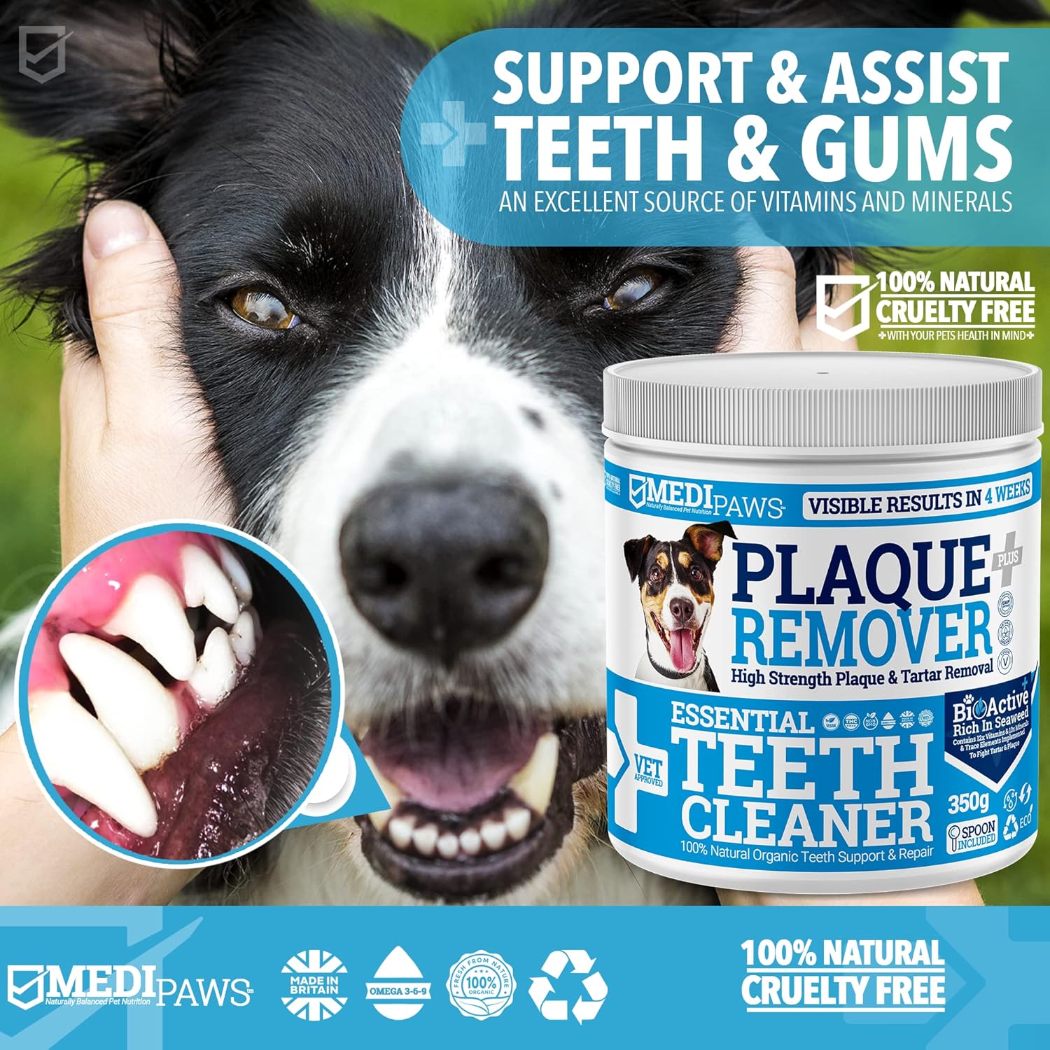 MediPaws® Plaque Off Remover Dogs 350g For Dog Teeth & Bad Breath | Just Add To Dog Food - No Need For Dog Toothbrush or Dog Toothpaste | Remove Dog Bad Breath & Plaque Remover For Dogs, Cats & Pets-1