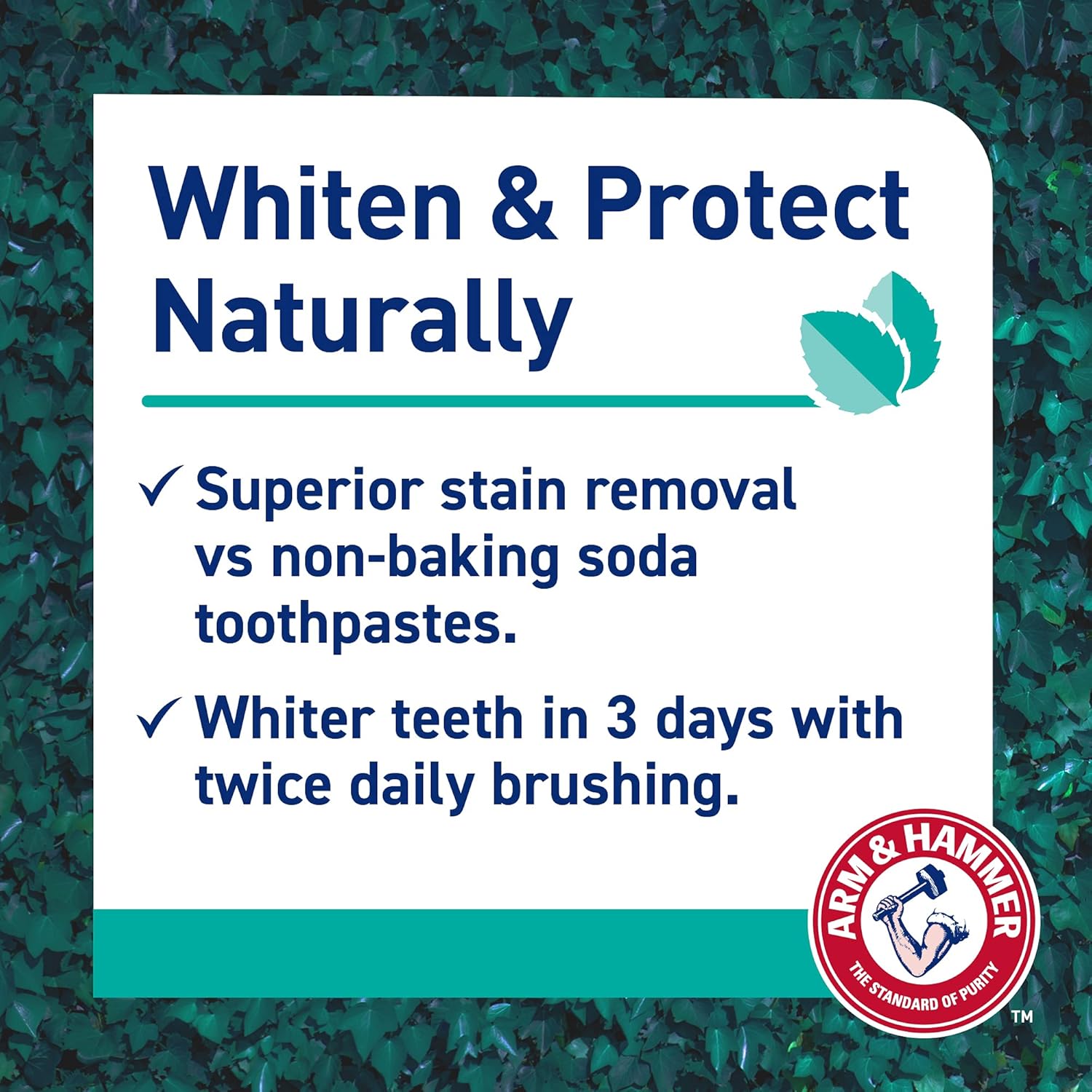 Arm & Hammer 100% Natural Baking Soda Whitening Protection Toothpaste, 75ml-2