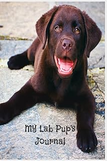 My Lab Pup's Journal