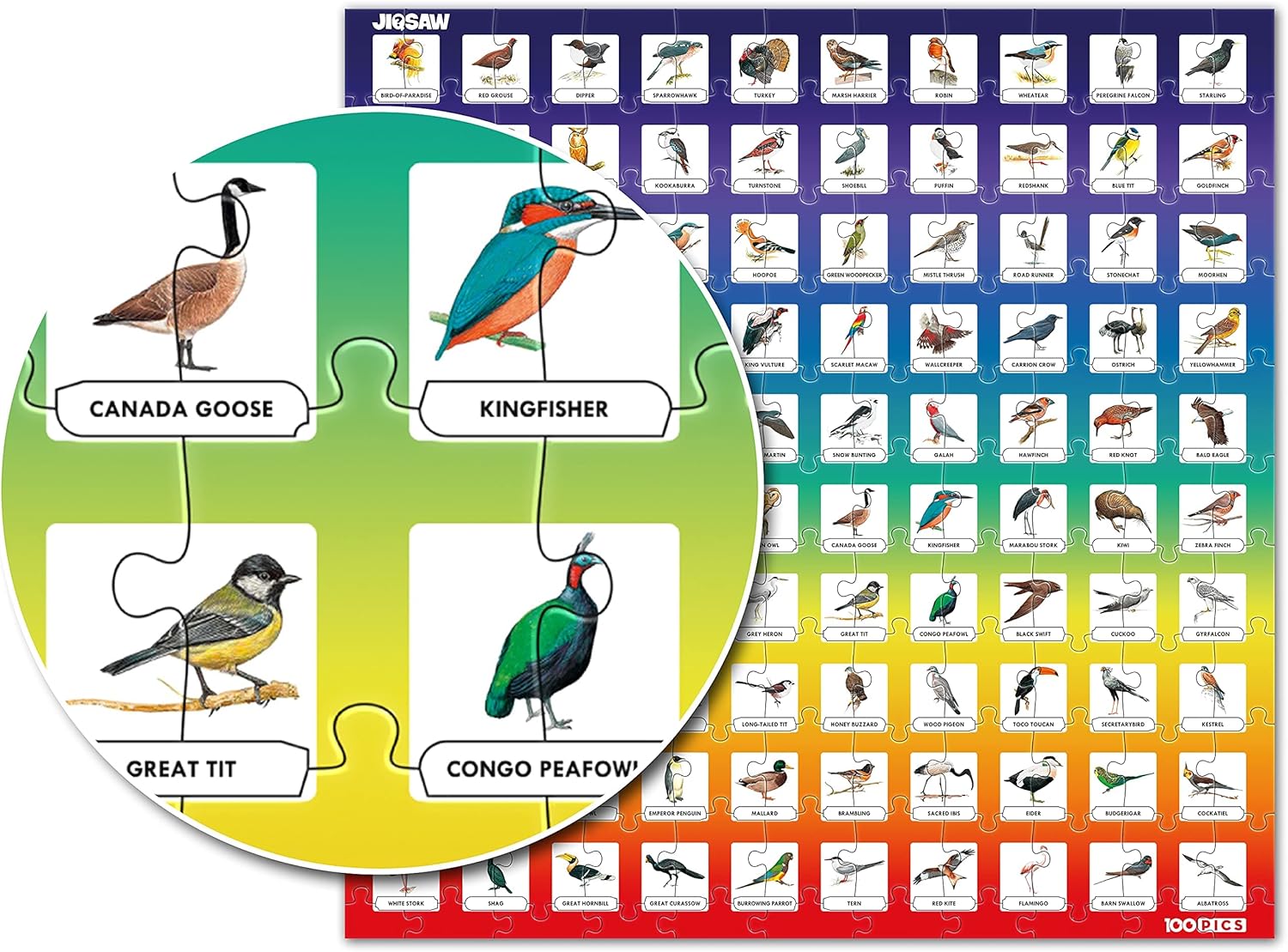 100 PICS Birds Jigsaw Quiz | Family Puzzle + Fun Quiz | 1-8 Players | Large Table Game | 45 Minutes Playing Time-1